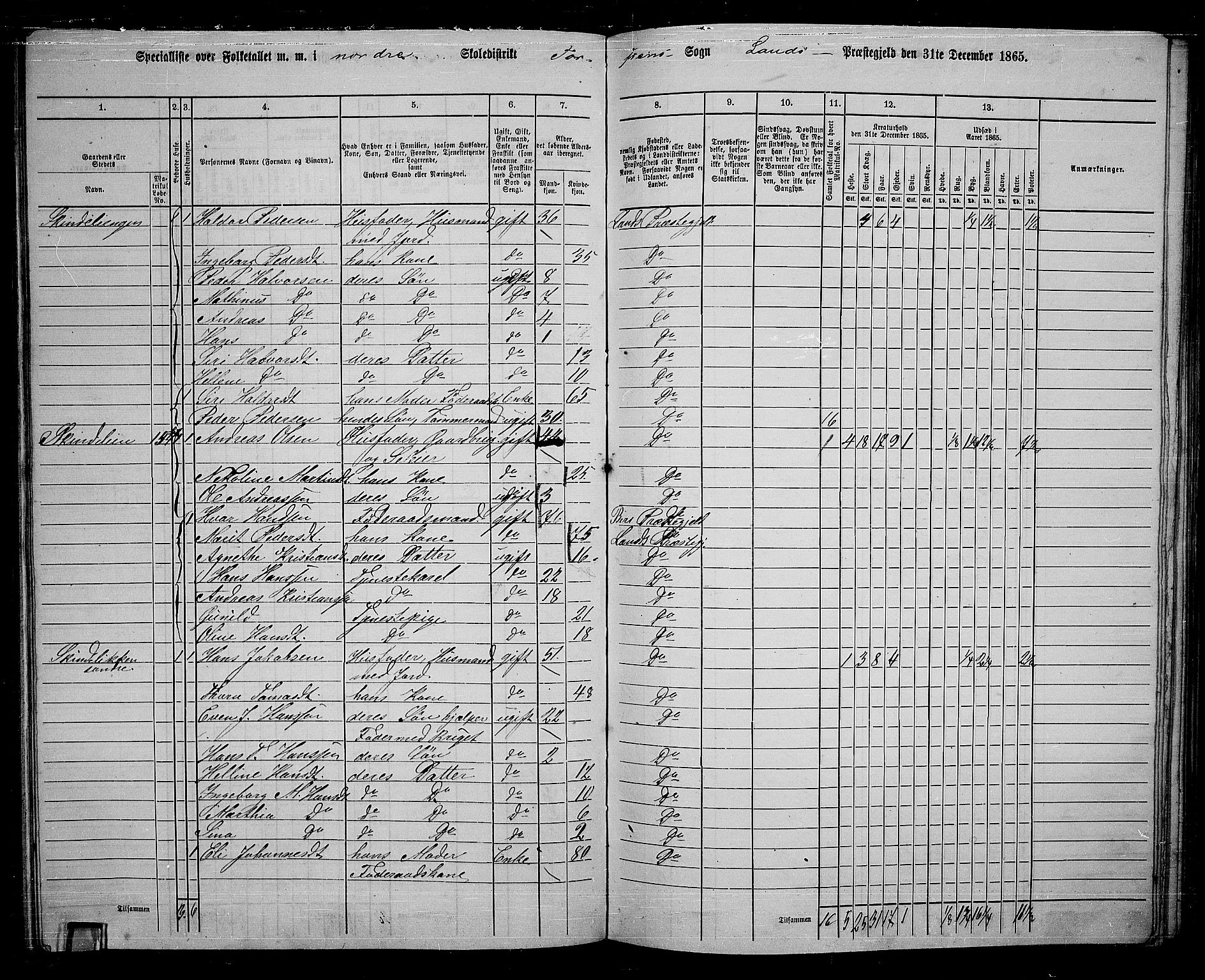 RA, 1865 census for Land, 1865, p. 132