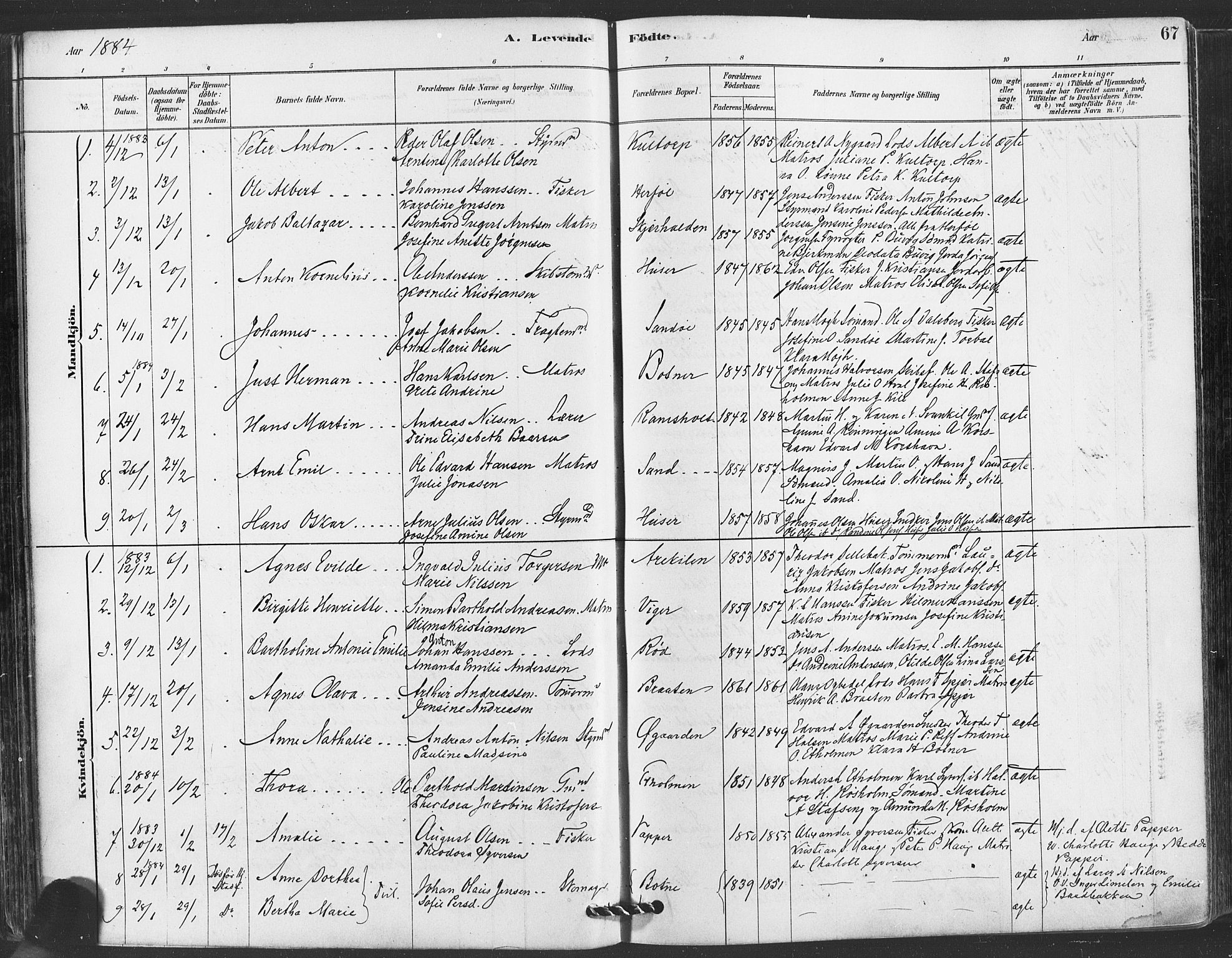 Hvaler prestekontor Kirkebøker, AV/SAO-A-2001/F/Fa/L0008: Parish register (official) no. I 8, 1878-1895, p. 67