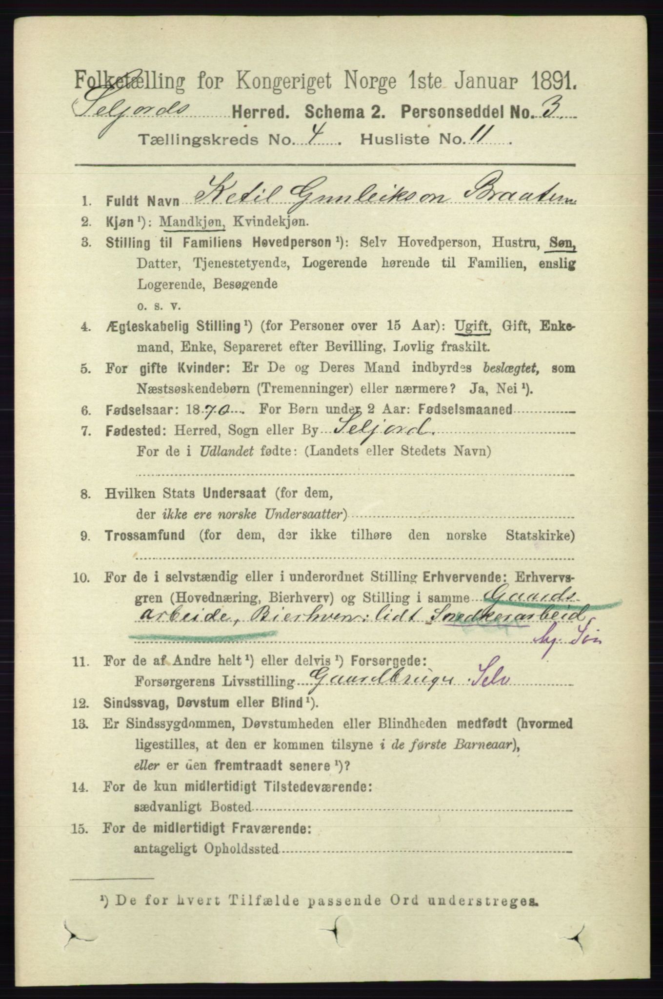RA, 1891 census for 0828 Seljord, 1891, p. 1348