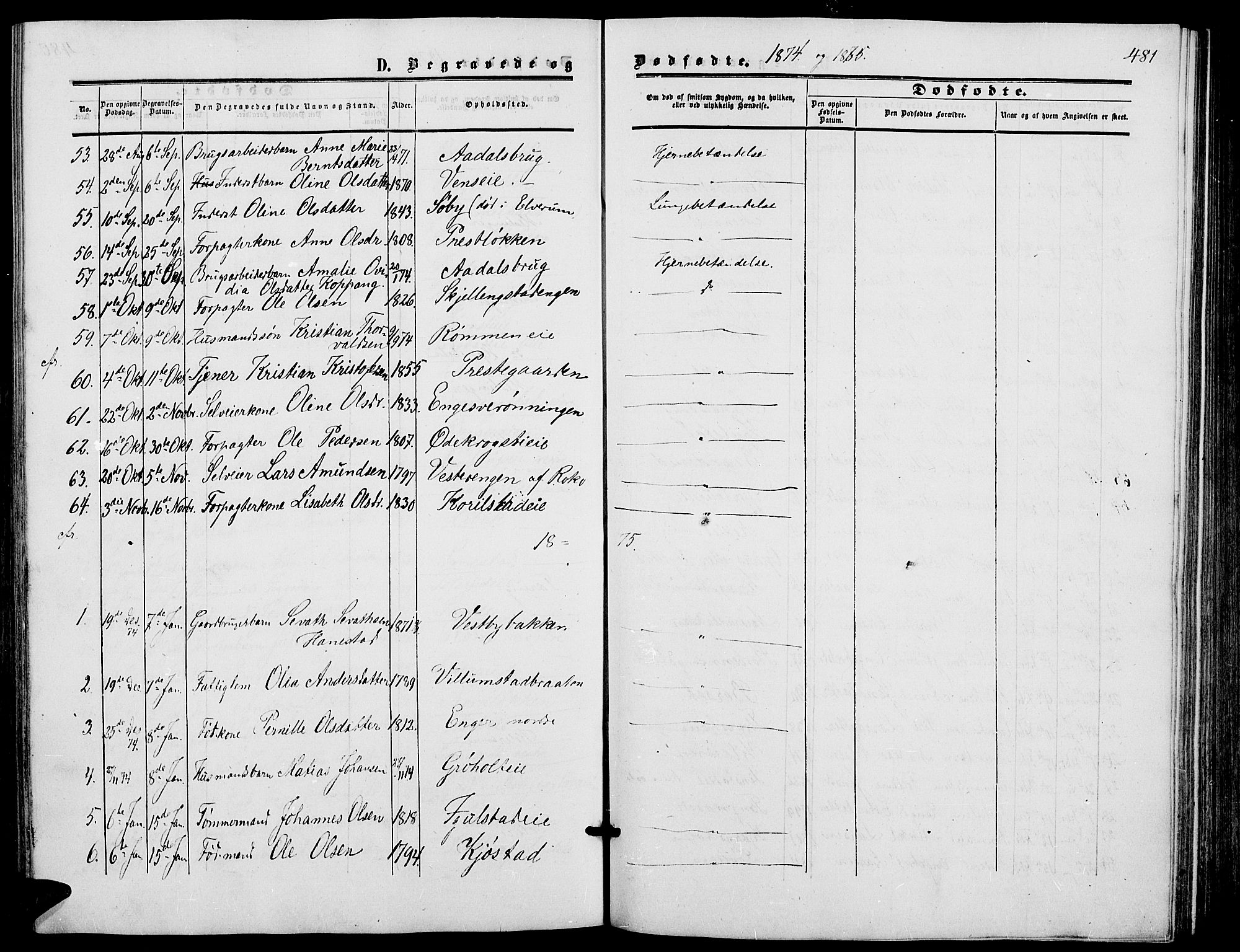 Løten prestekontor, SAH/PREST-022/L/La/L0004: Parish register (copy) no. 4, 1863-1877, p. 481