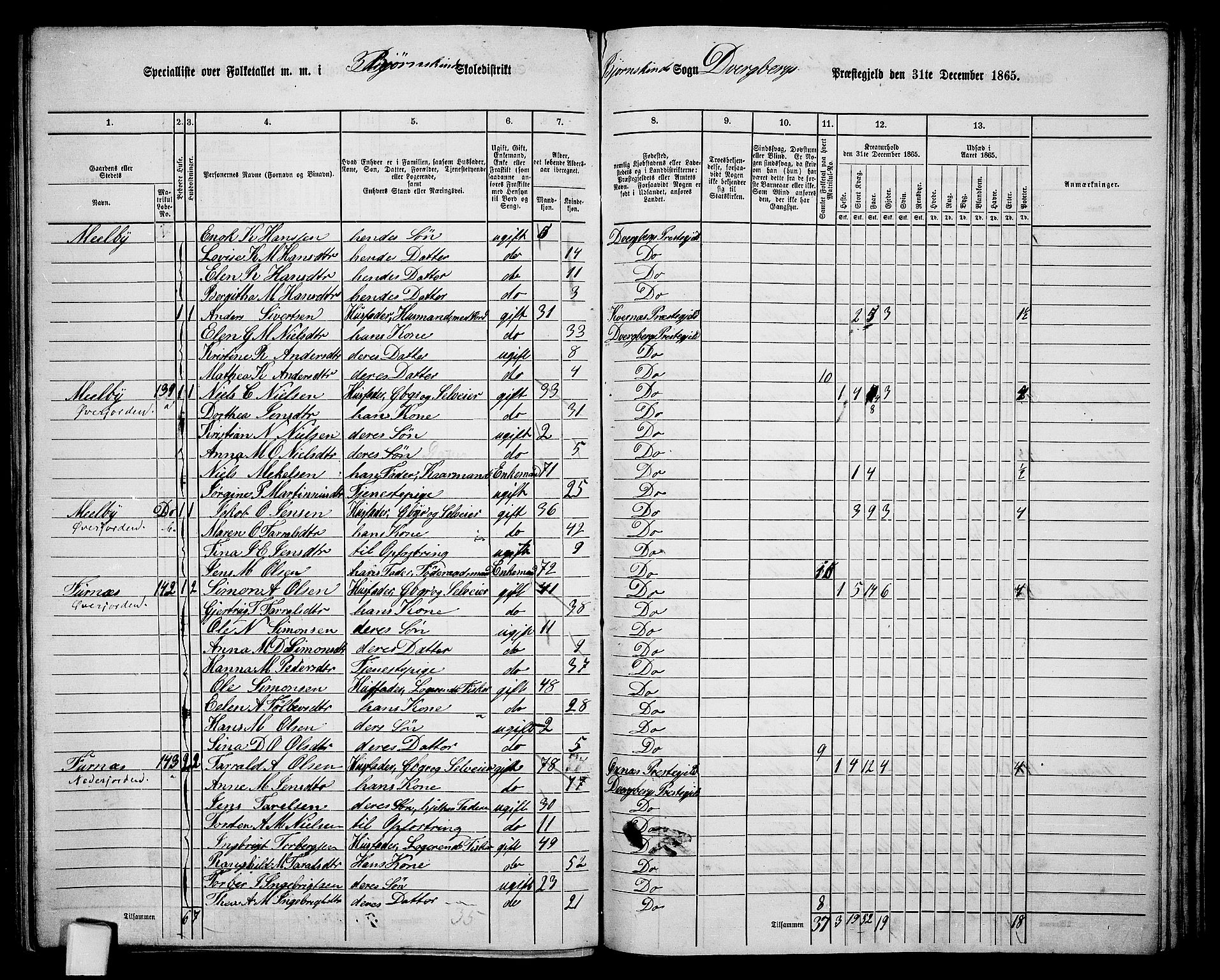 RA, 1865 census for Dverberg, 1865, p. 46