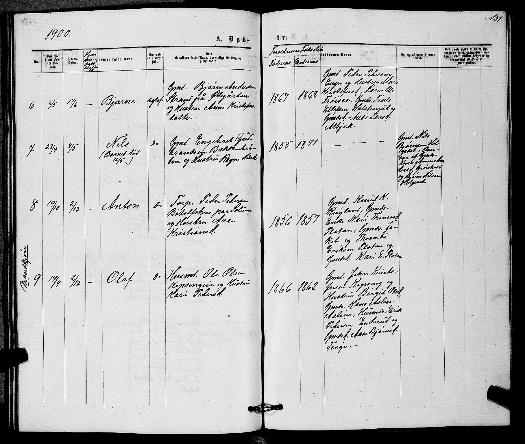 Sigdal kirkebøker, SAKO/A-245/G/Gb/L0002: Parish register (copy) no. II 2, 1875-1900, p. 134