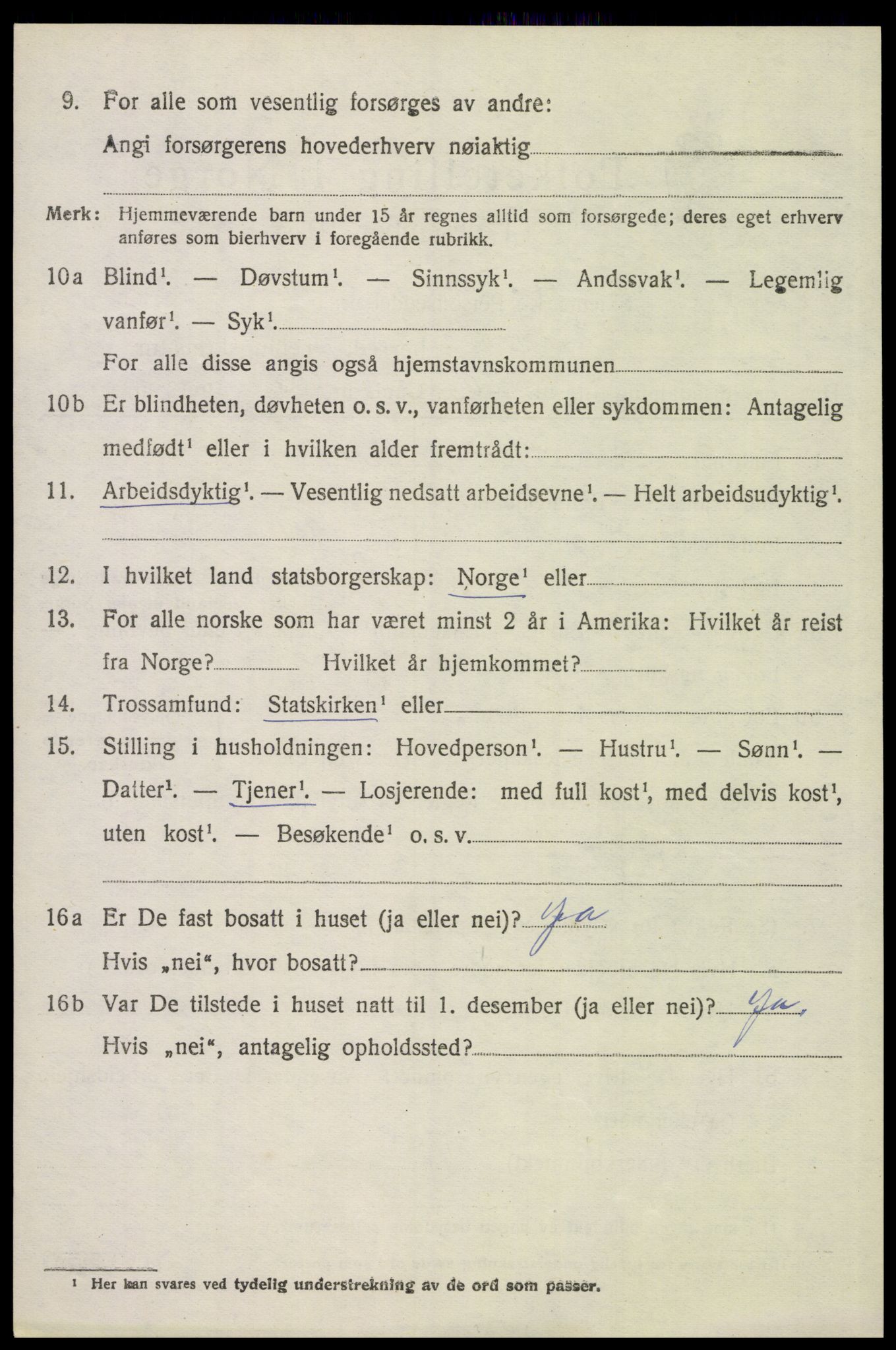 SAH, 1920 census for Åsnes, 1920, p. 11741