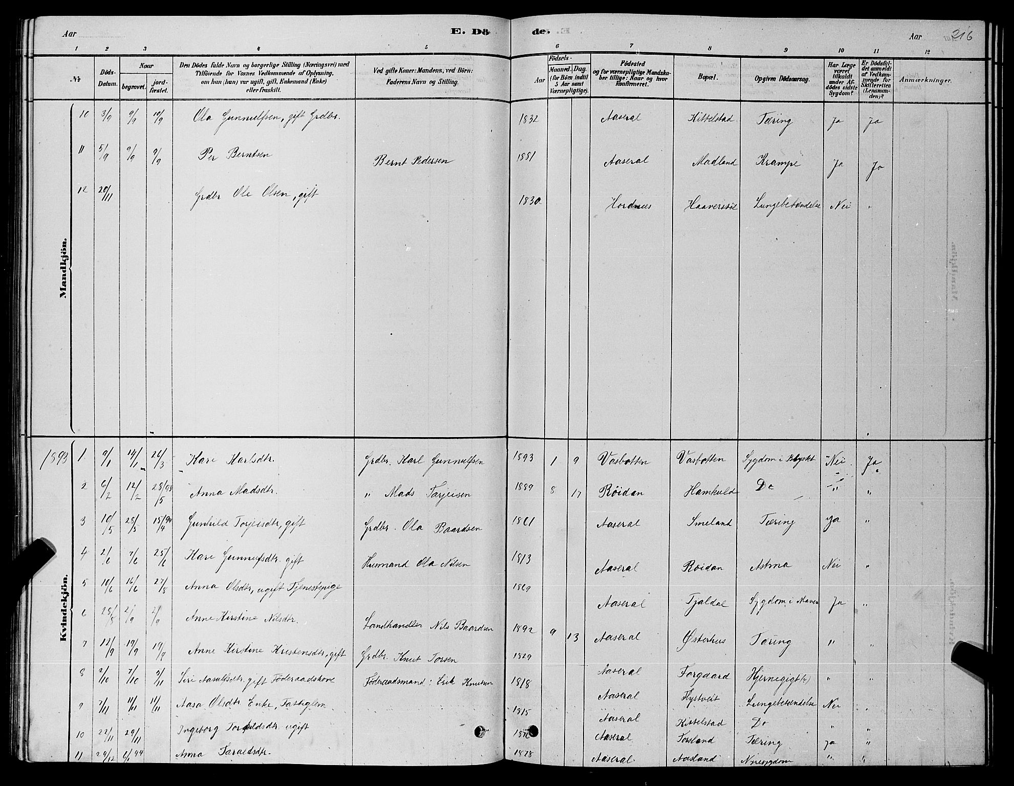 Åseral sokneprestkontor, AV/SAK-1111-0051/F/Fb/L0002: Parish register (copy) no. B 2, 1878-1899, p. 216