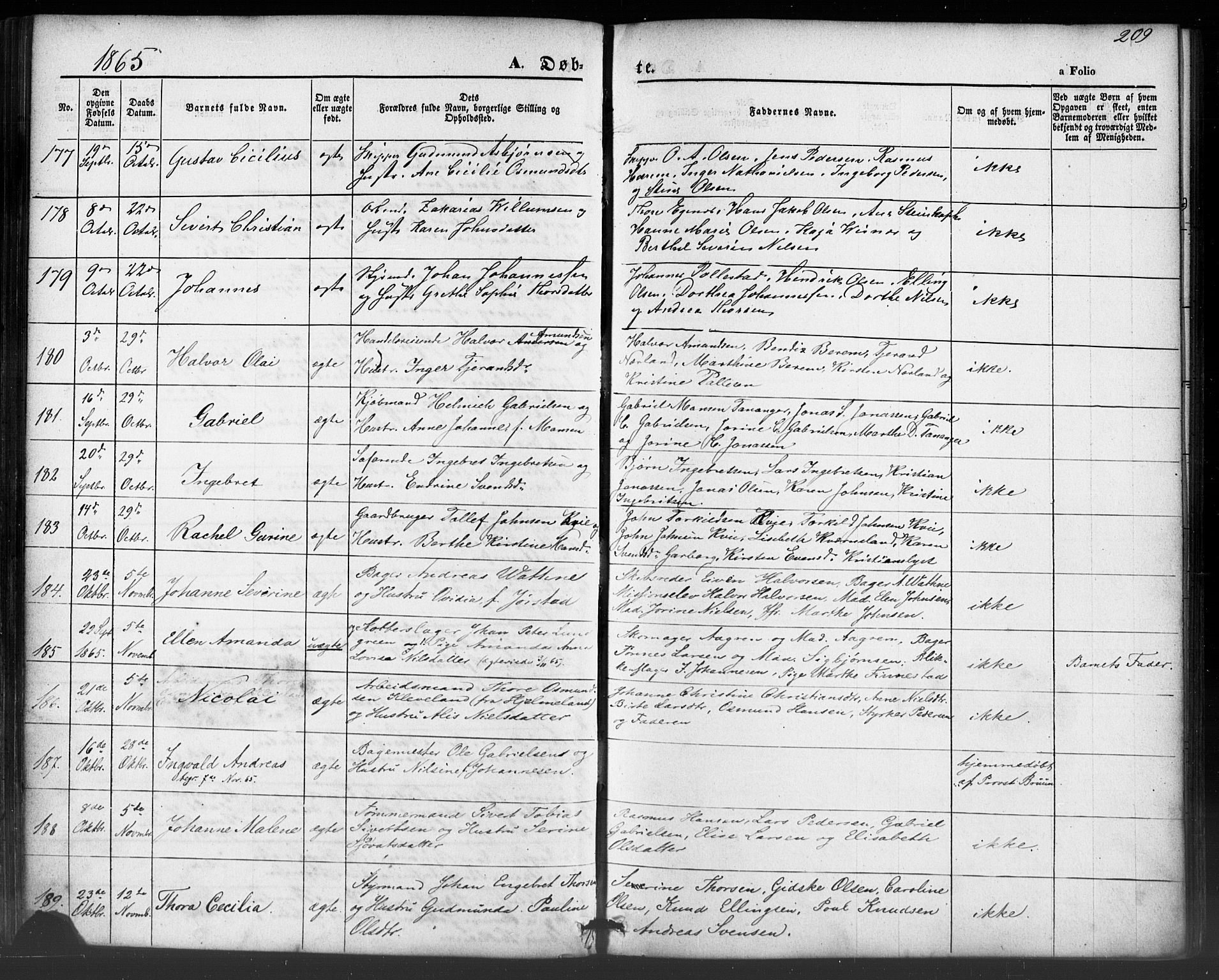 Domkirken sokneprestkontor, SAST/A-101812/001/30/30BB/L0012: Parish register (copy) no. B 12, 1860-1871, p. 209