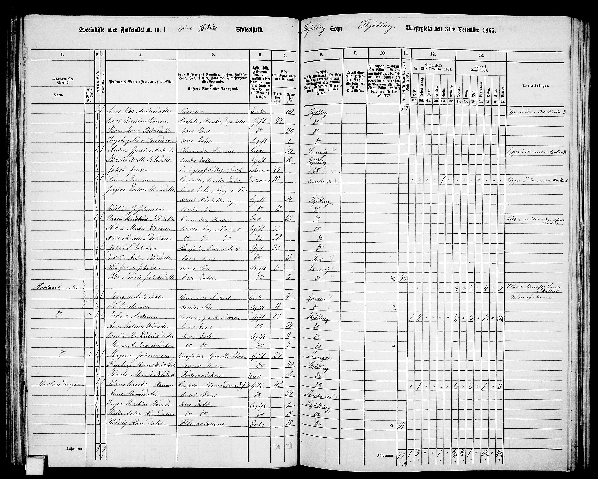 RA, 1865 census for Tjølling, 1865, p. 118