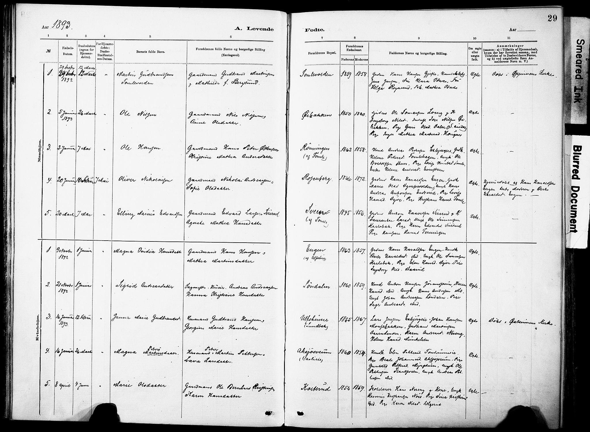 Nordre Land prestekontor, SAH/PREST-124/H/Ha/Haa/L0005: Parish register (official) no. 5, 1882-1903, p. 29