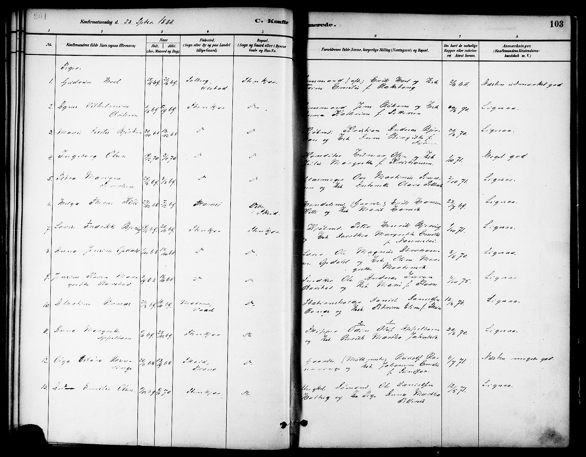 Ministerialprotokoller, klokkerbøker og fødselsregistre - Nord-Trøndelag, SAT/A-1458/739/L0371: Parish register (official) no. 739A03, 1881-1895, p. 103