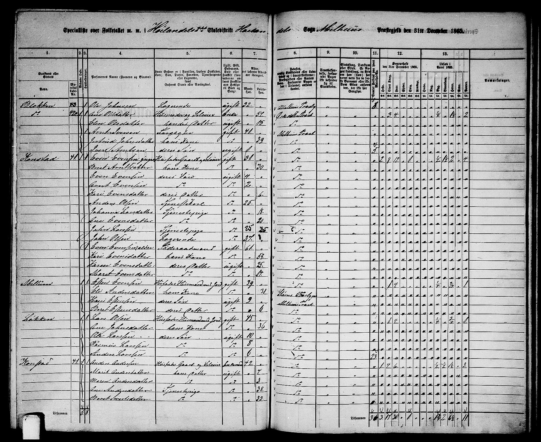 RA, 1865 census for Melhus, 1865, p. 192