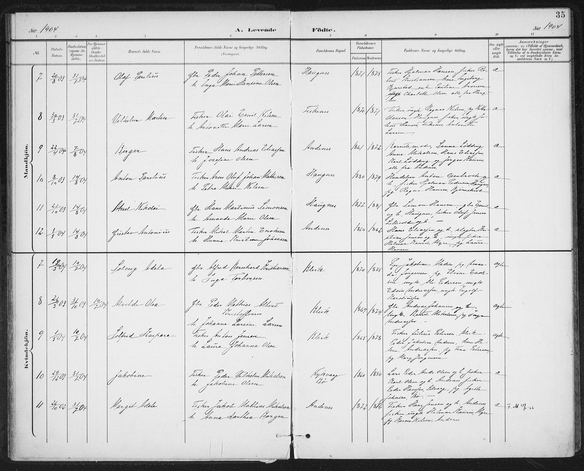 Ministerialprotokoller, klokkerbøker og fødselsregistre - Nordland, AV/SAT-A-1459/899/L1437: Parish register (official) no. 899A05, 1897-1908, p. 35