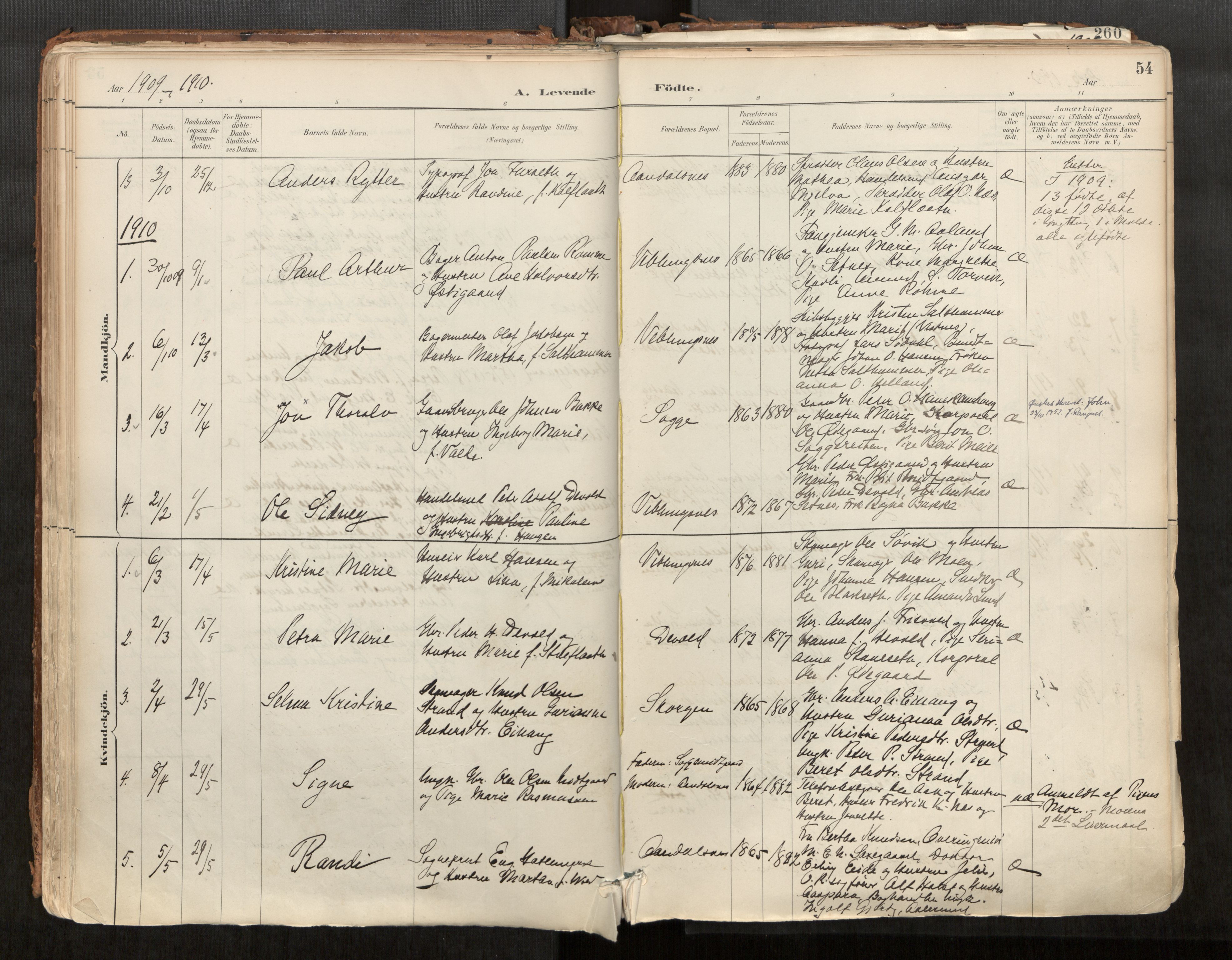 Ministerialprotokoller, klokkerbøker og fødselsregistre - Møre og Romsdal, AV/SAT-A-1454/544/L0585: Parish register (official) no. 544A06, 1887-1924, p. 54