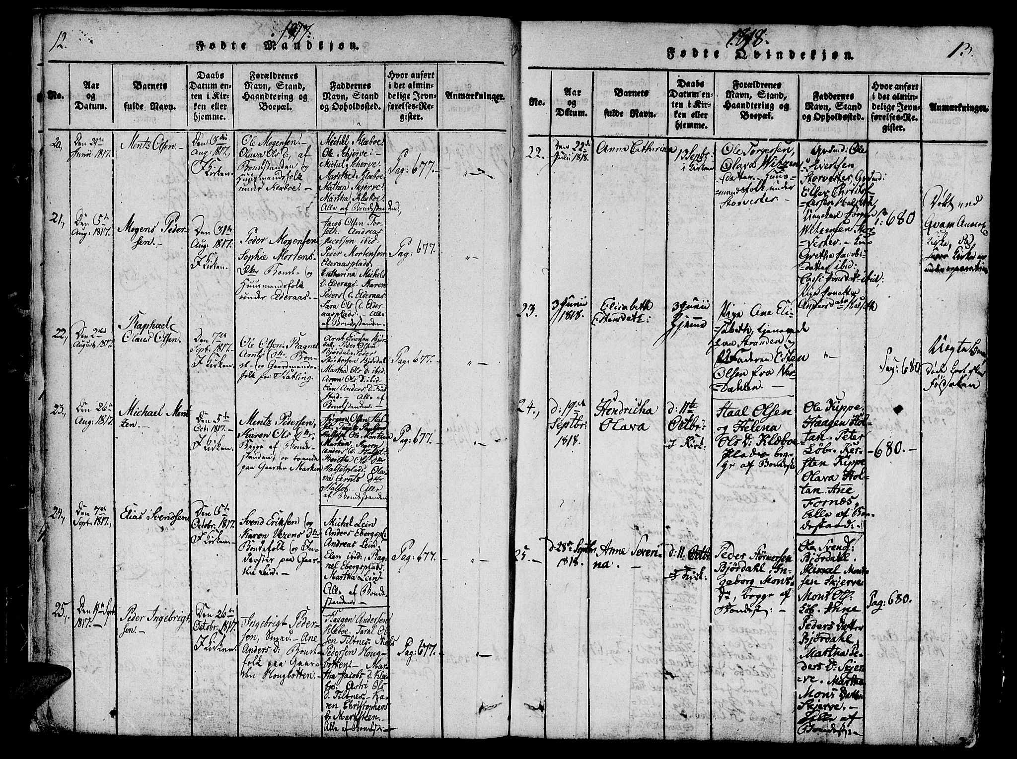 Ministerialprotokoller, klokkerbøker og fødselsregistre - Nord-Trøndelag, AV/SAT-A-1458/746/L0441: Parish register (official) no. 746A03 /1, 1816-1827, p. 12-13