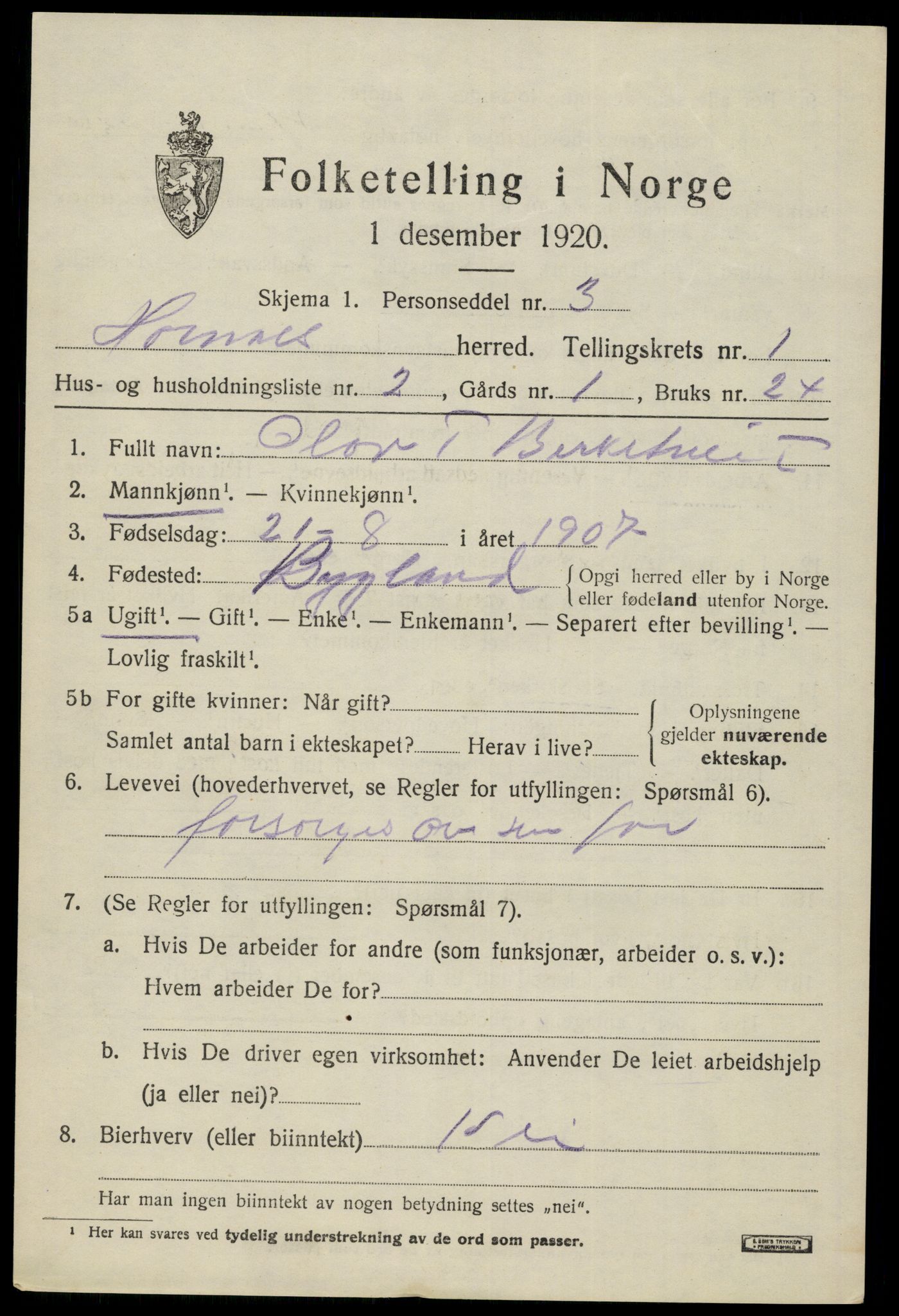 SAK, 1920 census for Hornnes, 1920, p. 571