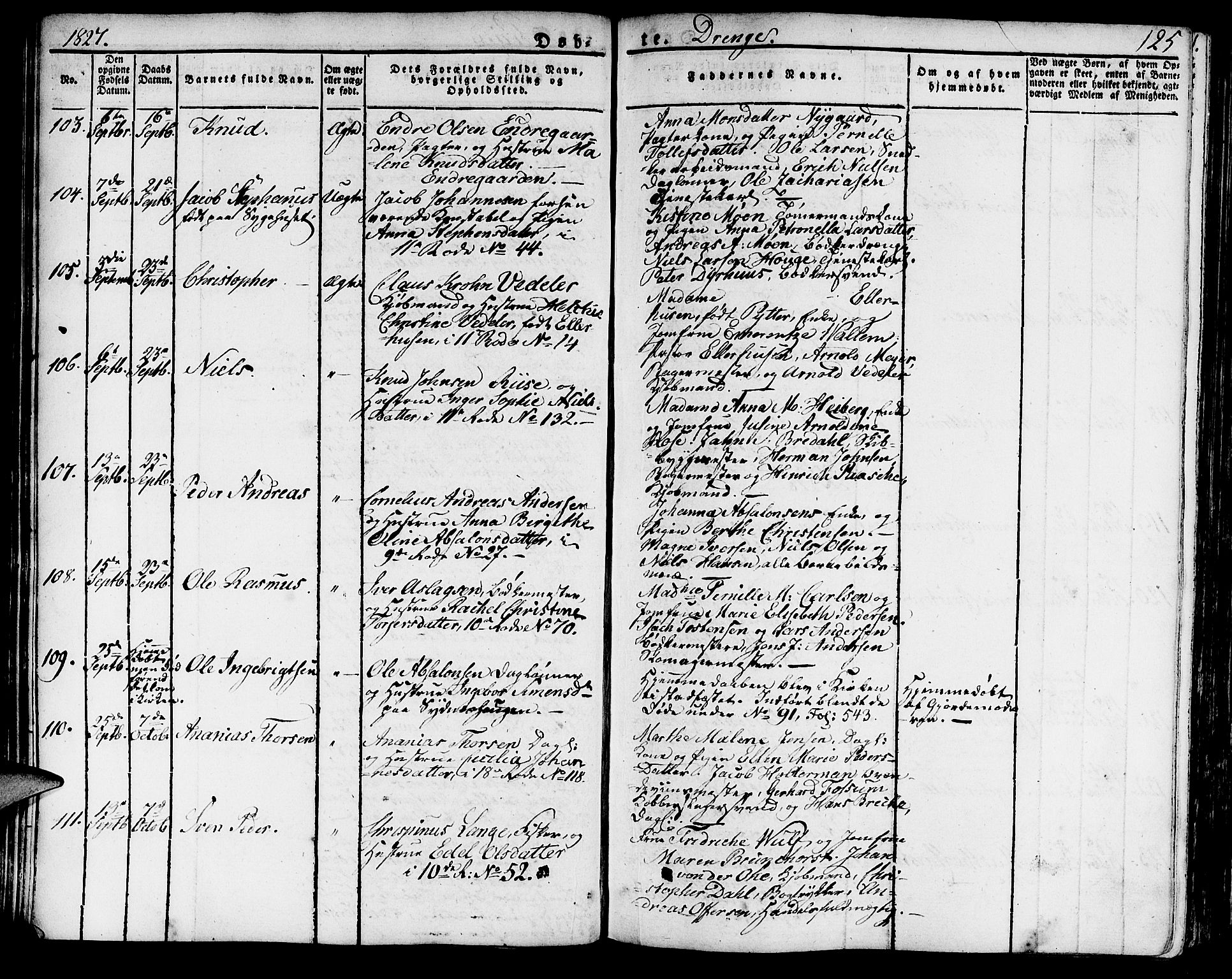 Domkirken sokneprestembete, AV/SAB-A-74801/H/Haa/L0012: Parish register (official) no. A 12, 1821-1840, p. 125