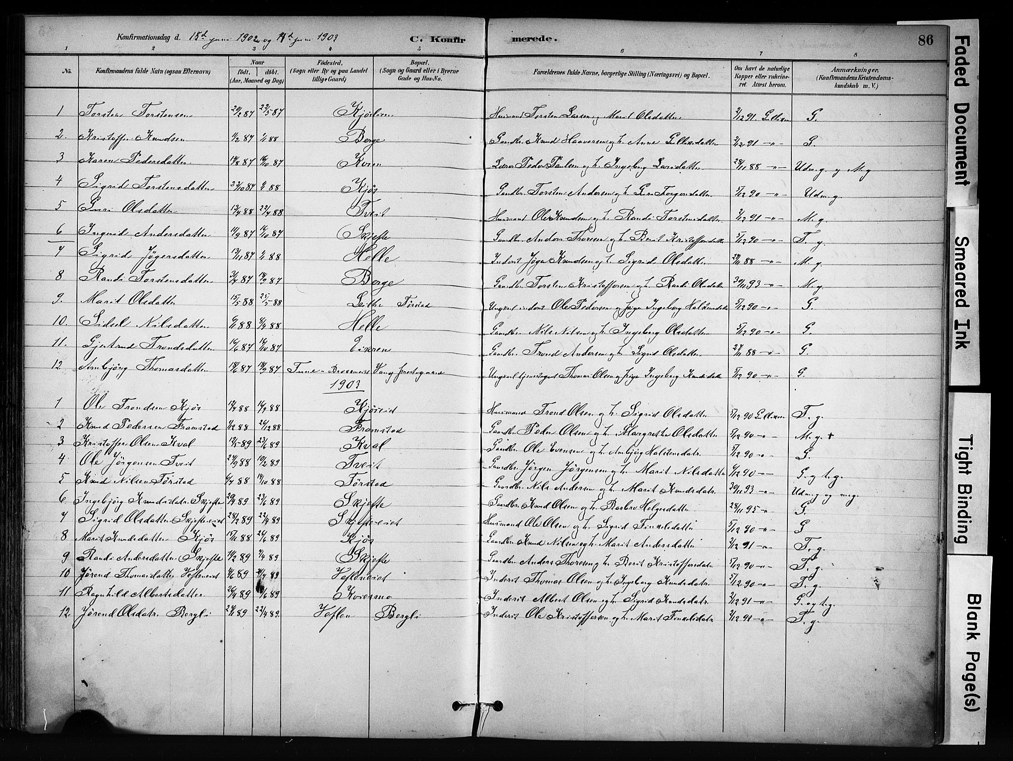 Vang prestekontor, Valdres, SAH/PREST-140/H/Ha/L0009: Parish register (official) no. 9, 1882-1914, p. 86