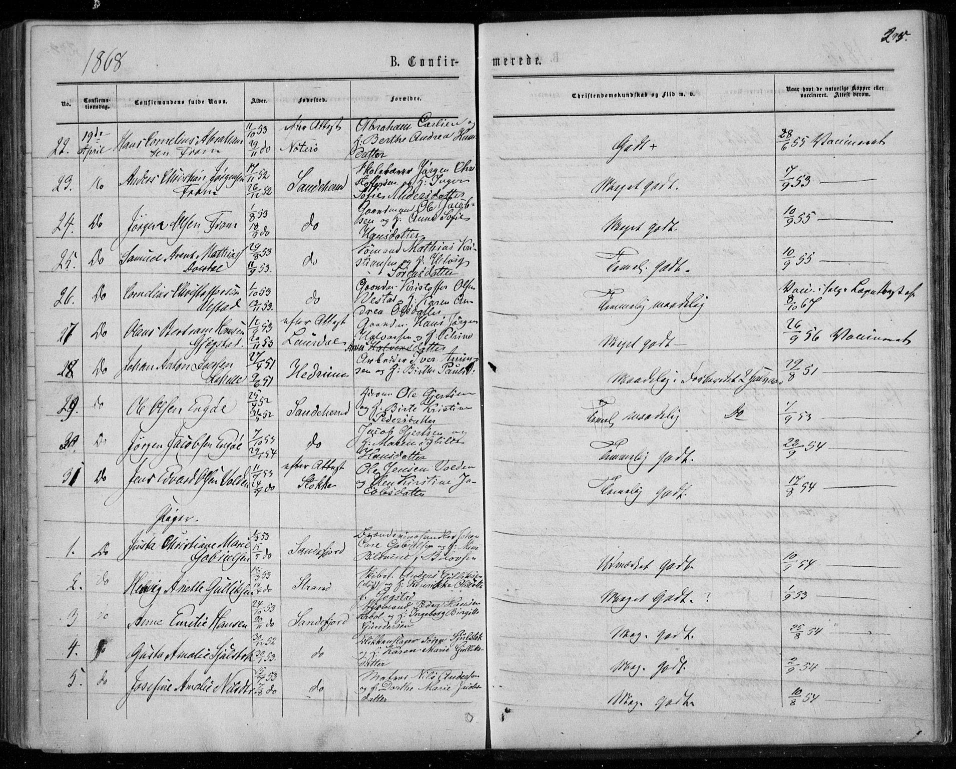 Sandar kirkebøker, AV/SAKO-A-243/F/Fa/L0008: Parish register (official) no. 8, 1862-1871, p. 295