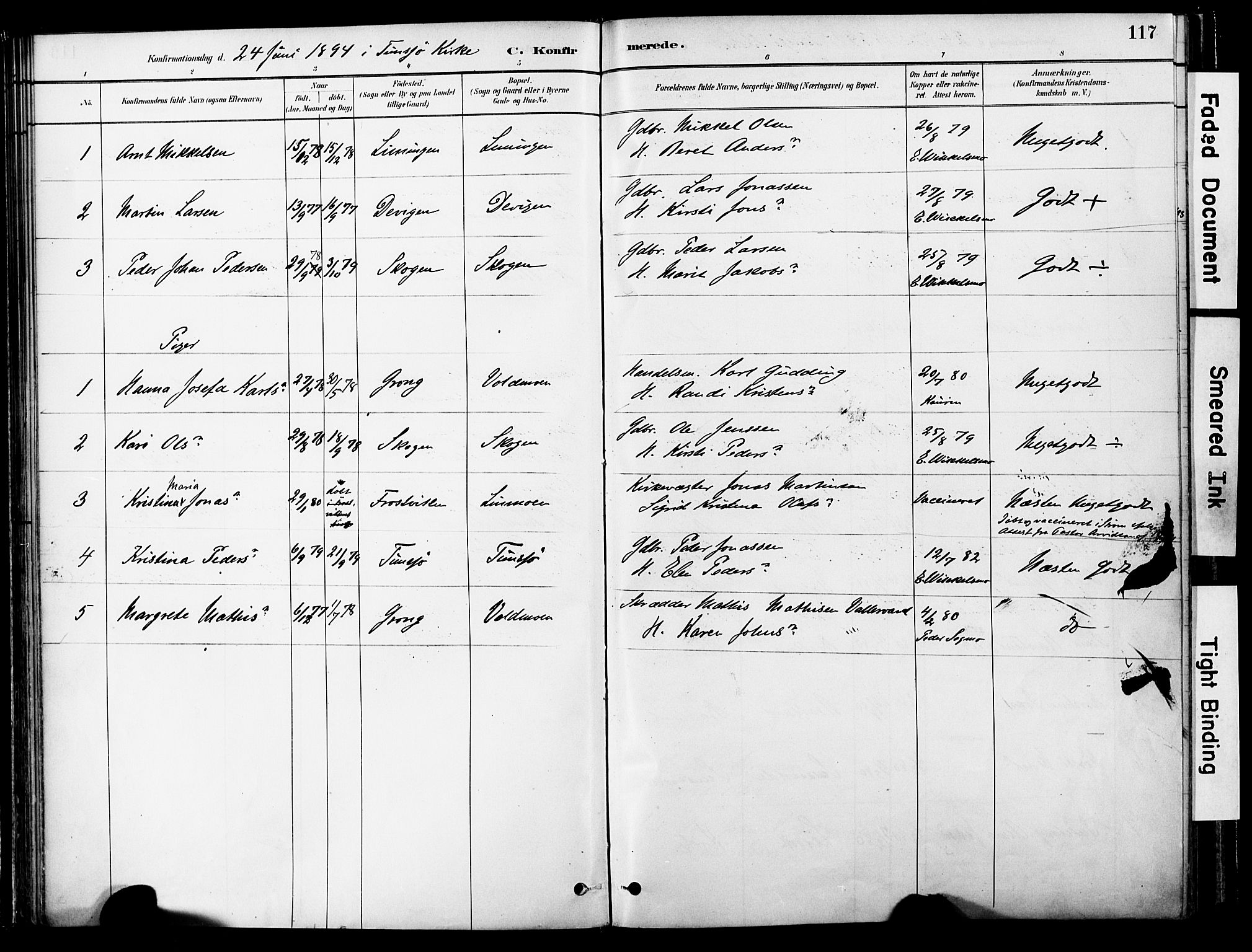 Ministerialprotokoller, klokkerbøker og fødselsregistre - Nord-Trøndelag, SAT/A-1458/755/L0494: Parish register (official) no. 755A03, 1882-1902, p. 117