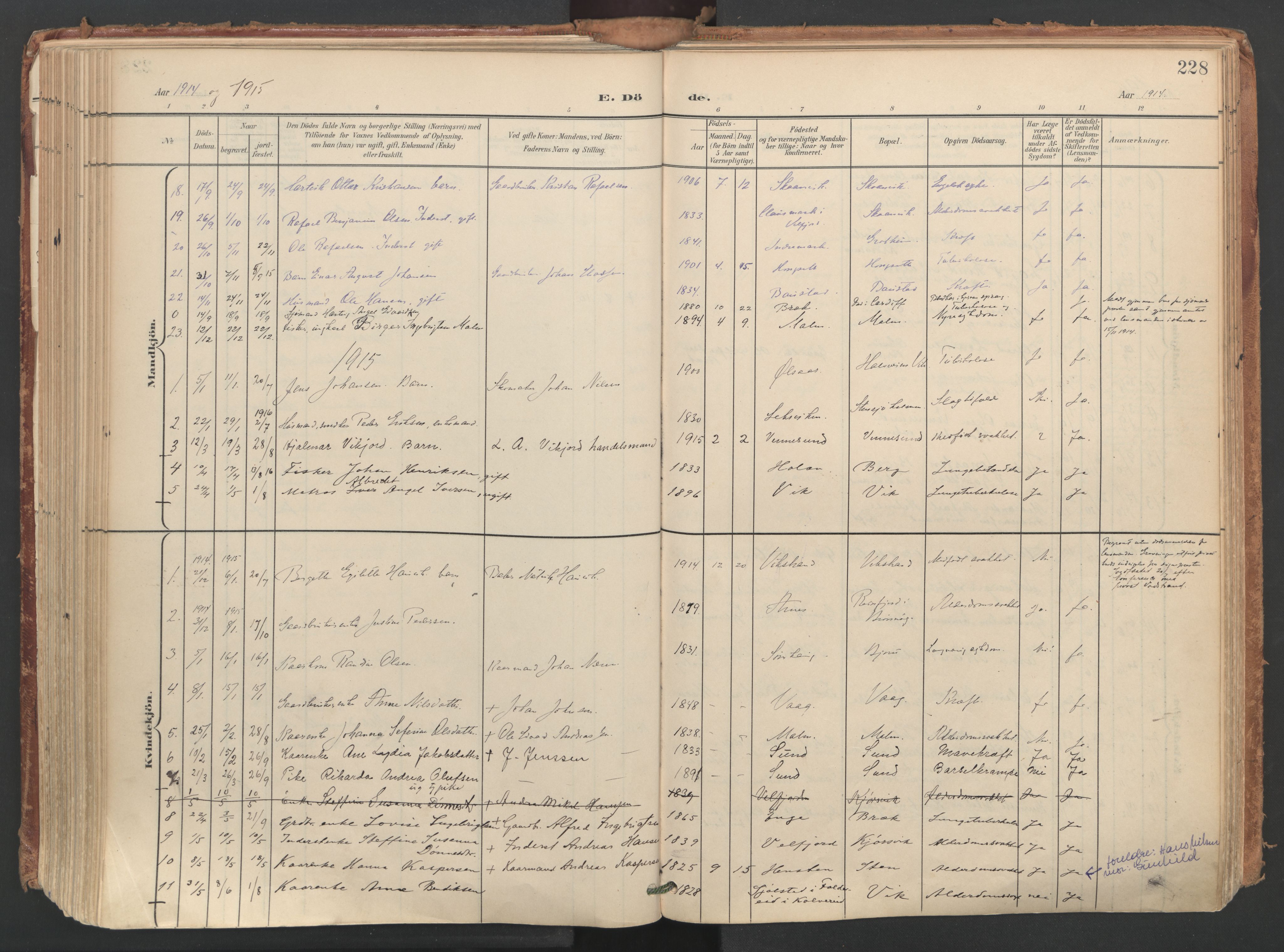 Ministerialprotokoller, klokkerbøker og fødselsregistre - Nordland, SAT/A-1459/812/L0180: Parish register (official) no. 812A09, 1901-1915, p. 228