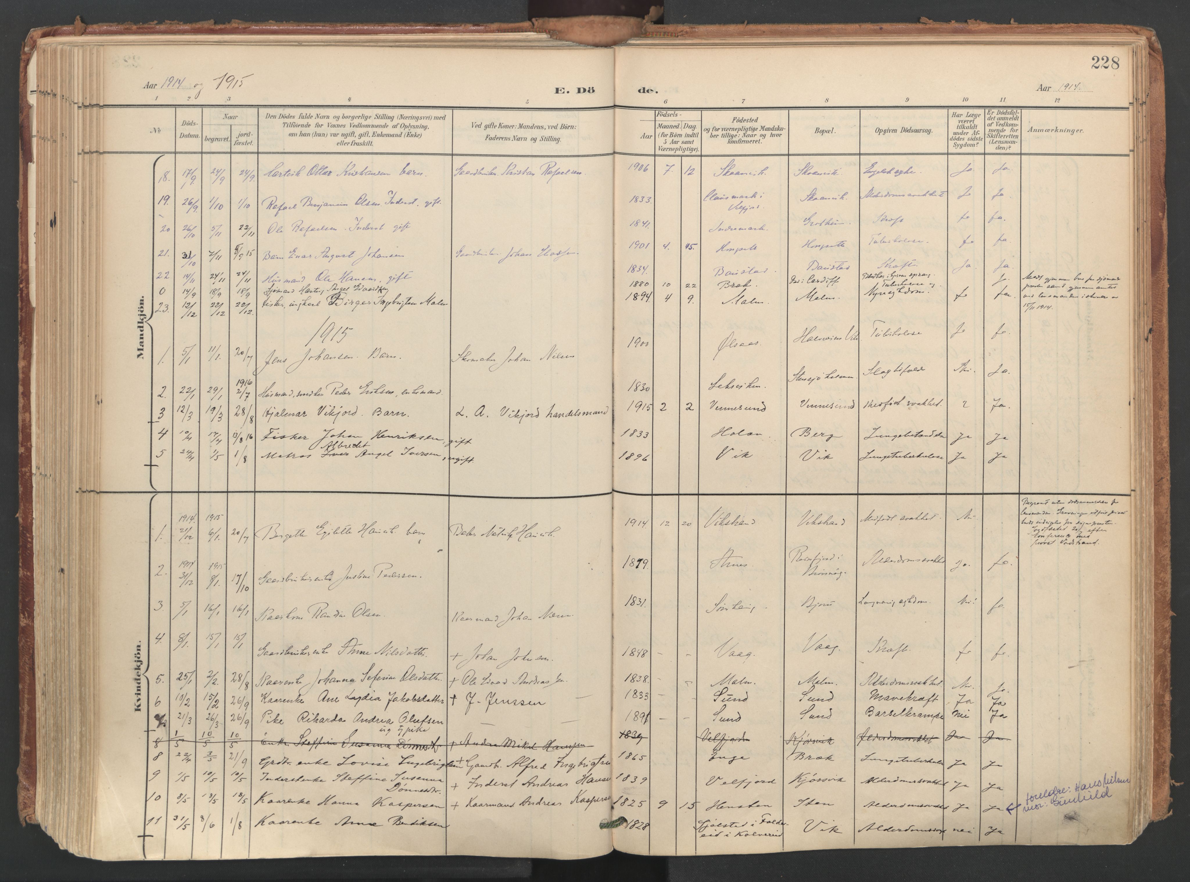 Ministerialprotokoller, klokkerbøker og fødselsregistre - Nordland, AV/SAT-A-1459/812/L0180: Parish register (official) no. 812A09, 1901-1915, p. 228