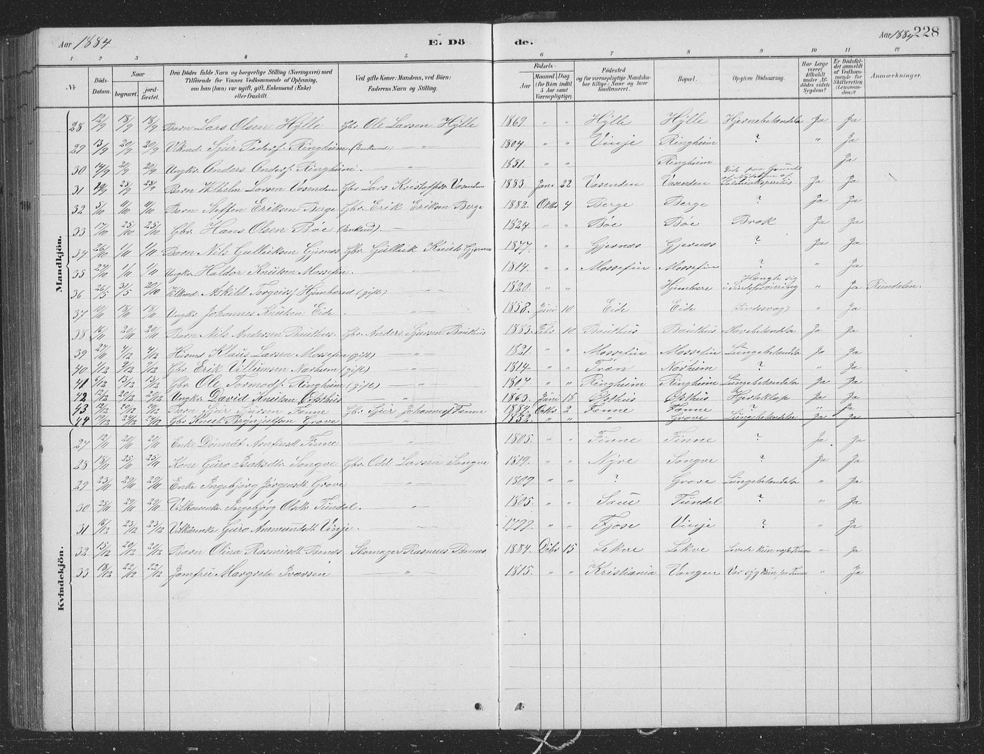 Voss sokneprestembete, SAB/A-79001/H/Hab: Parish register (copy) no. B 3, 1879-1894, p. 228