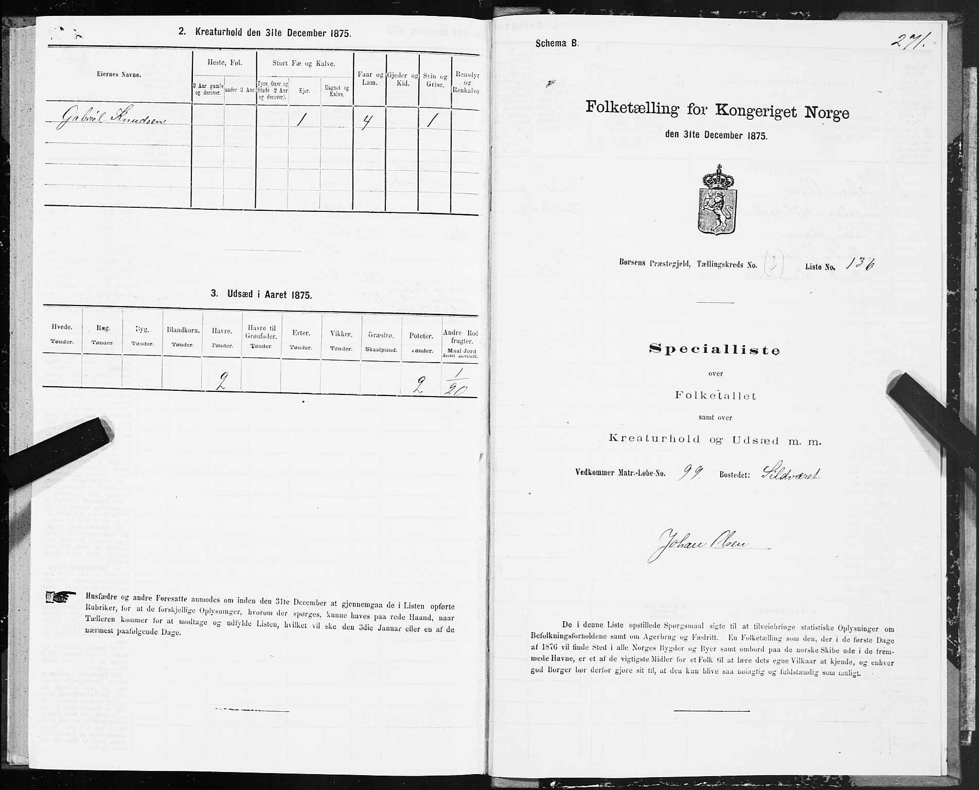 SAT, 1875 census for 1658P Børsa, 1875, p. 2271