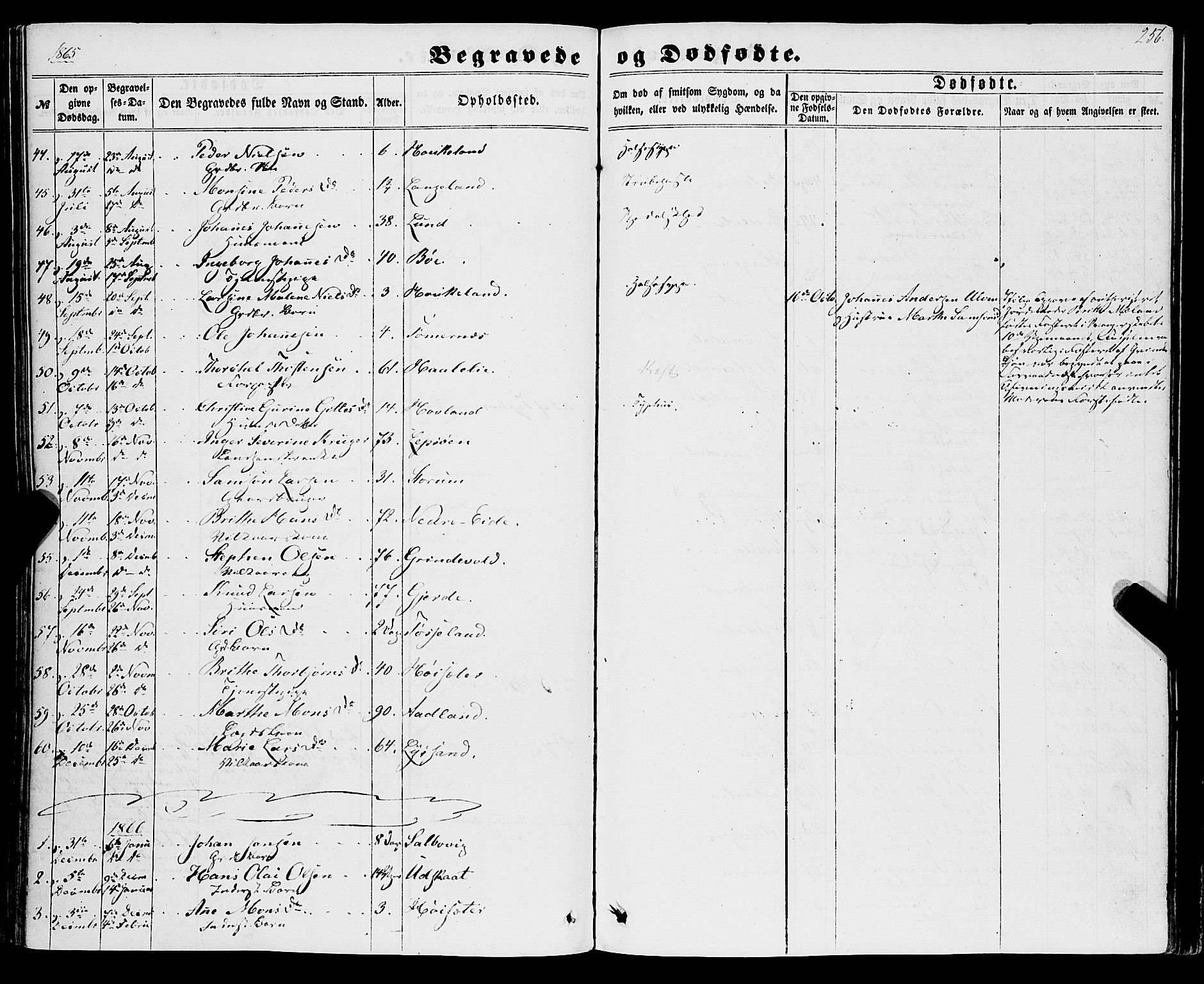 Os sokneprestembete, SAB/A-99929: Parish register (official) no. A 17, 1860-1873, p. 256