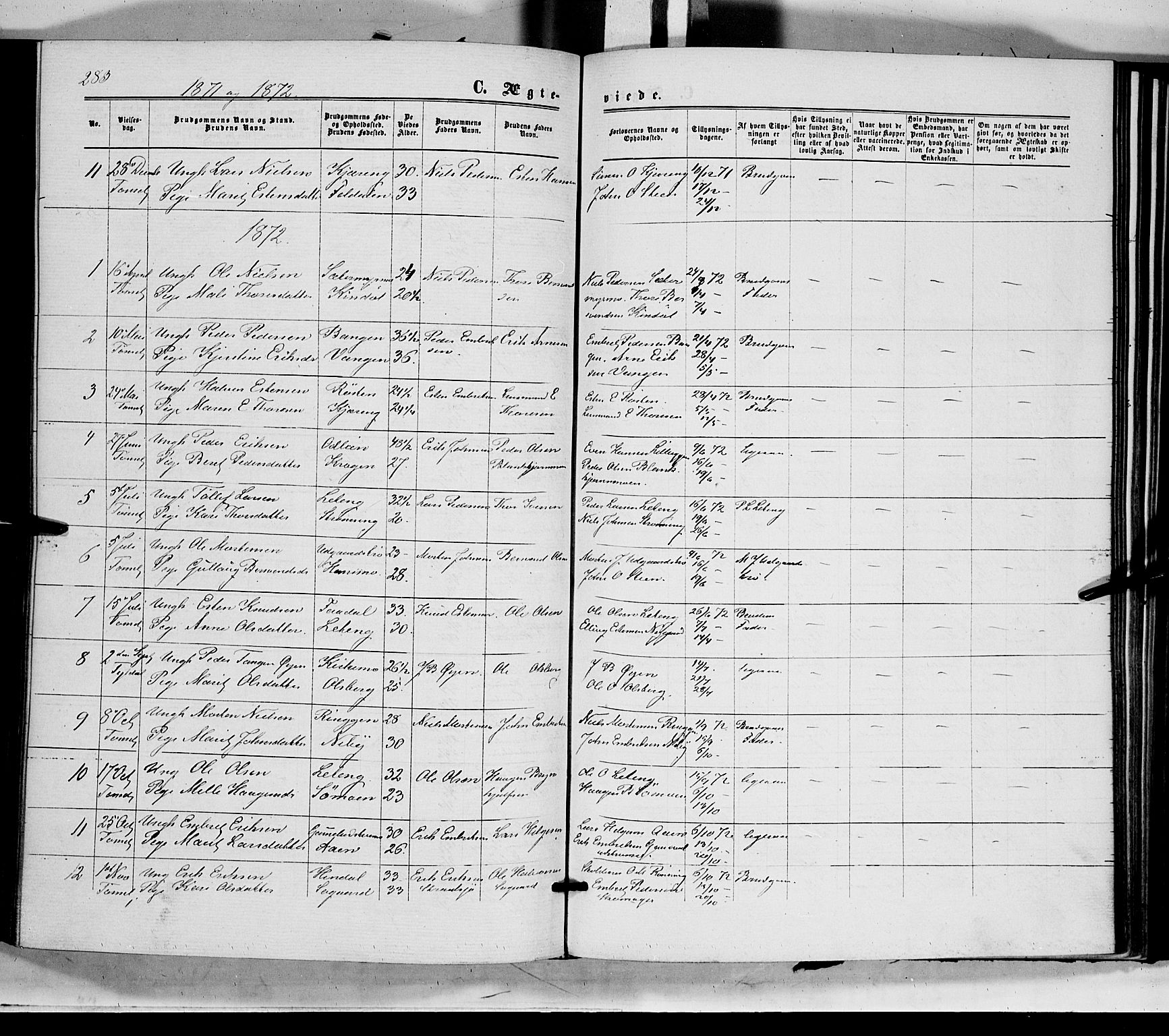 Tynset prestekontor, SAH/PREST-058/H/Ha/Haa/L0021: Parish register (official) no. 21, 1863-1879, p. 283