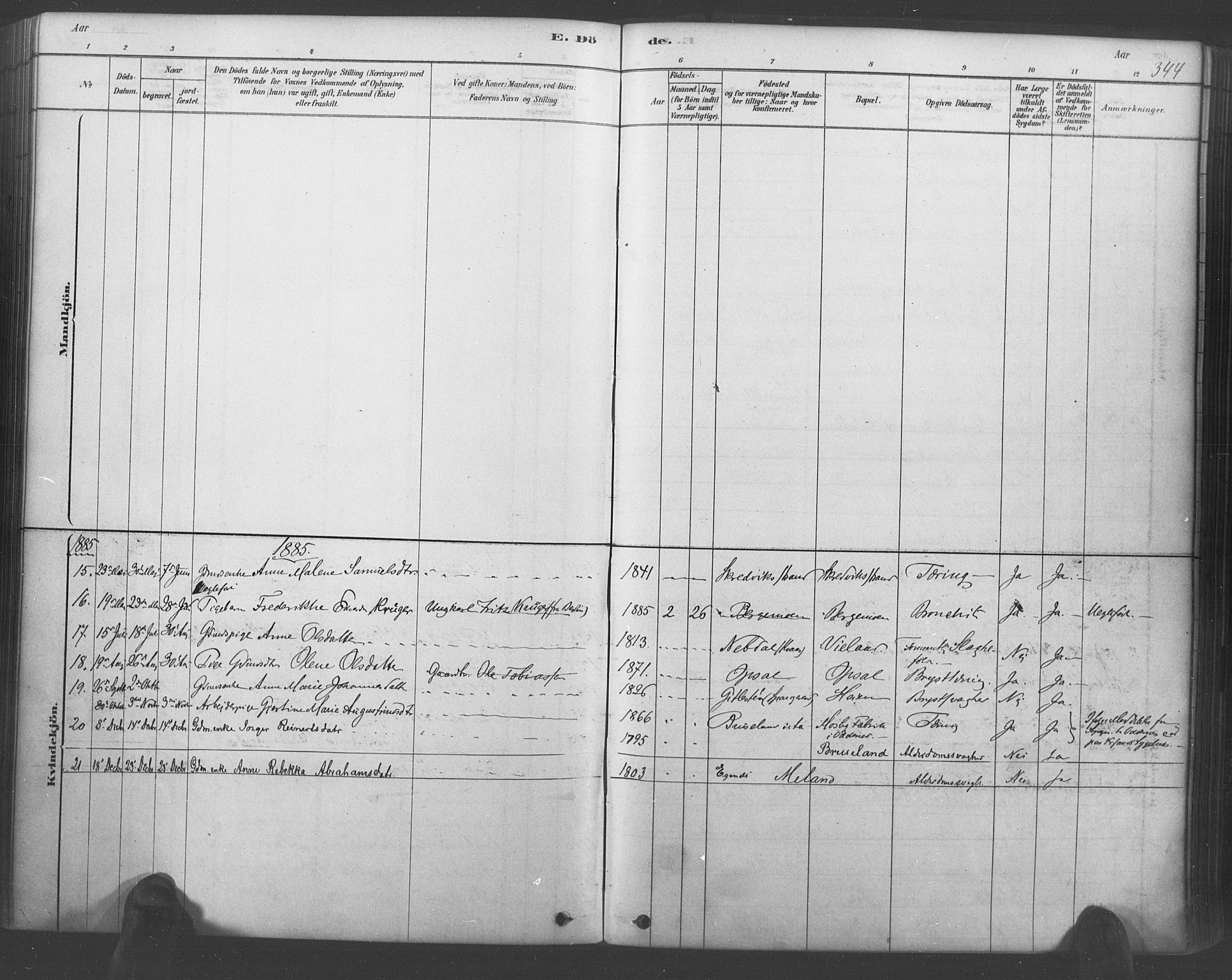 Lyngdal sokneprestkontor, AV/SAK-1111-0029/F/Fa/Fac/L0011: Parish register (official) no. A 11, 1878-1893, p. 344