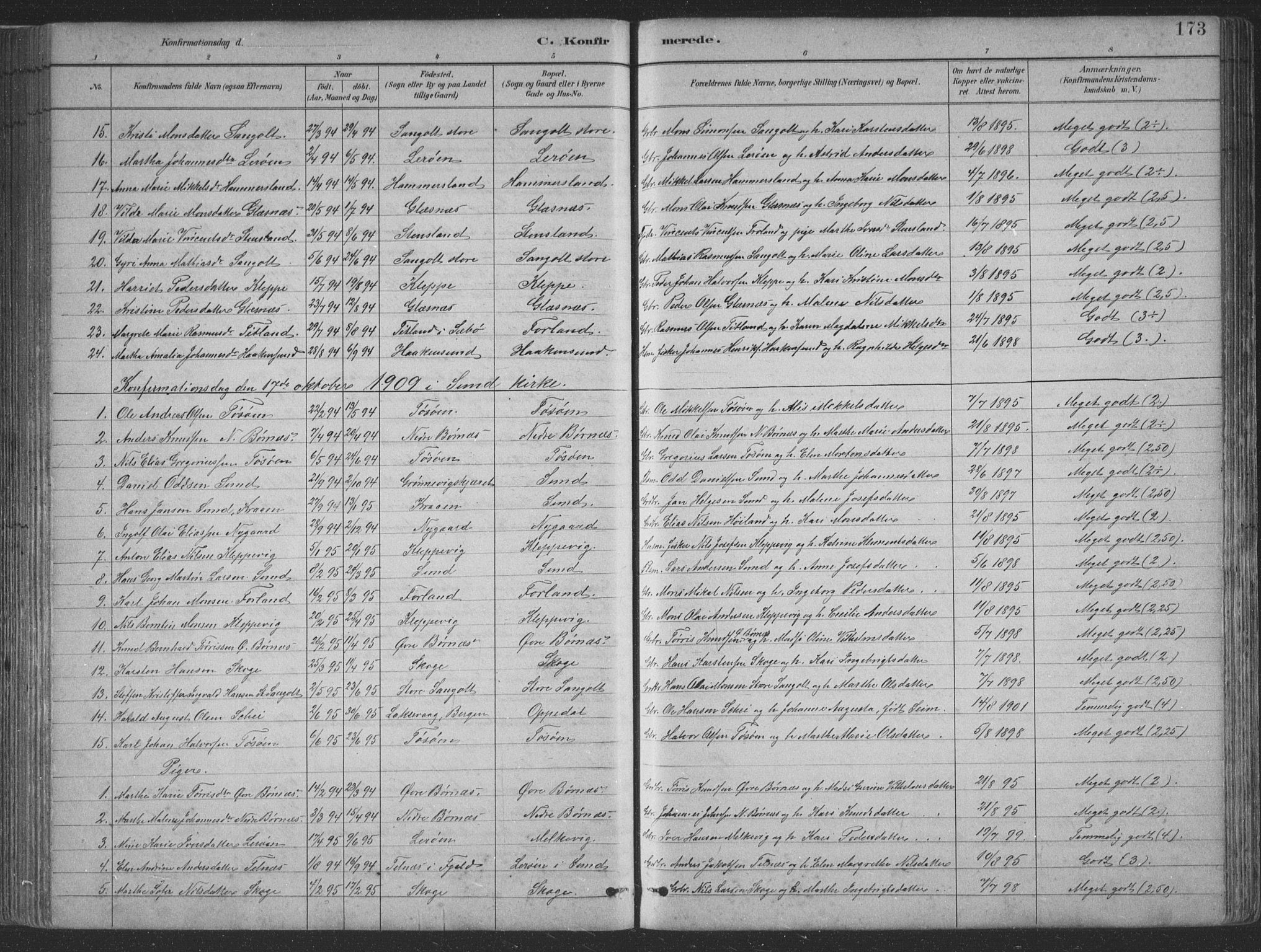 Sund sokneprestembete, SAB/A-99930: Parish register (copy) no. B 3, 1882-1911, p. 173
