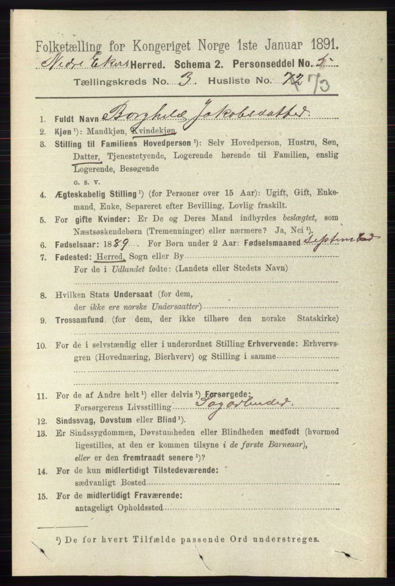 RA, 1891 census for 0625 Nedre Eiker, 1891, p. 1588