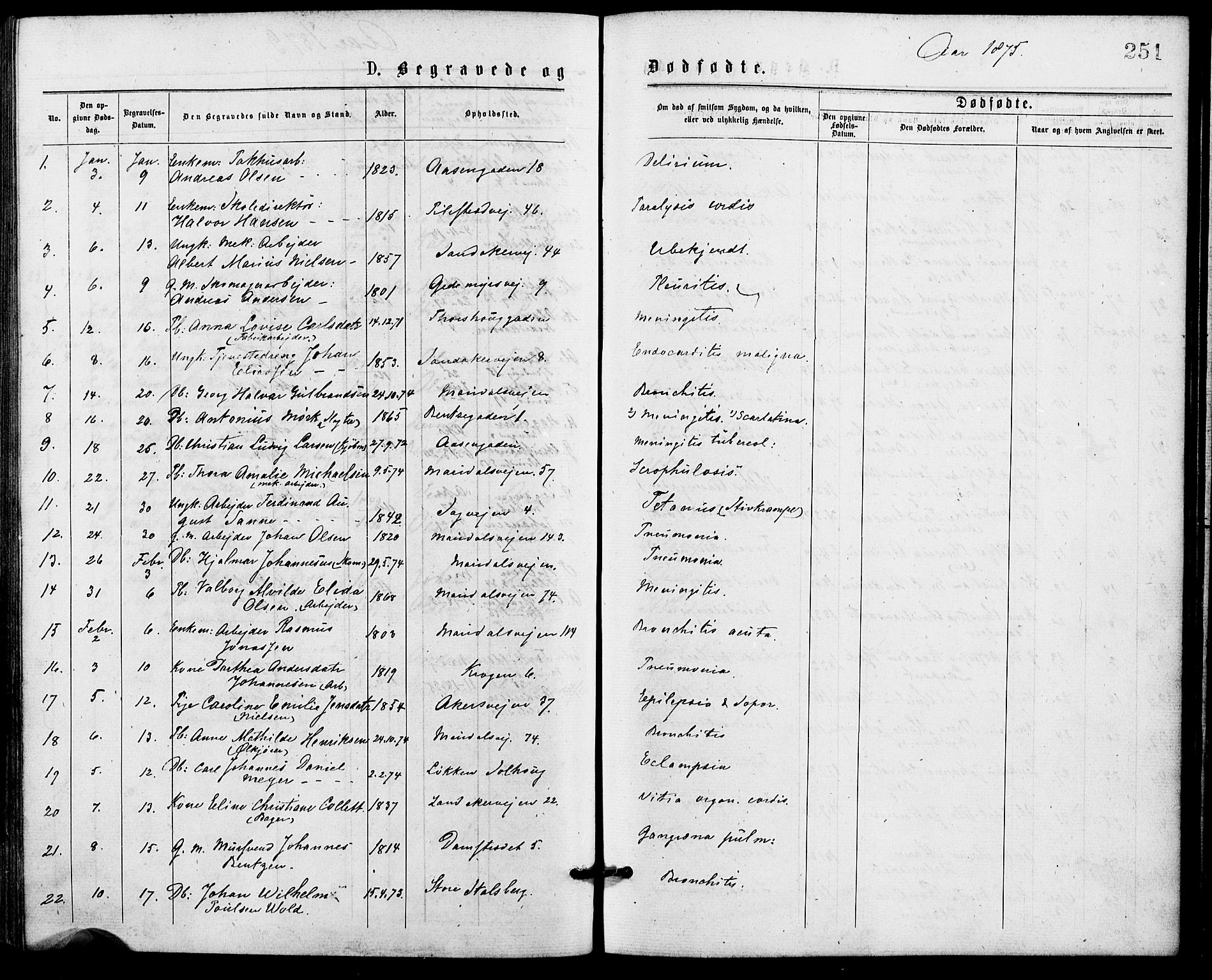 Gamle Aker prestekontor Kirkebøker, SAO/A-10617a/G/L0004: Parish register (copy) no. 4, 1875-1879, p. 251