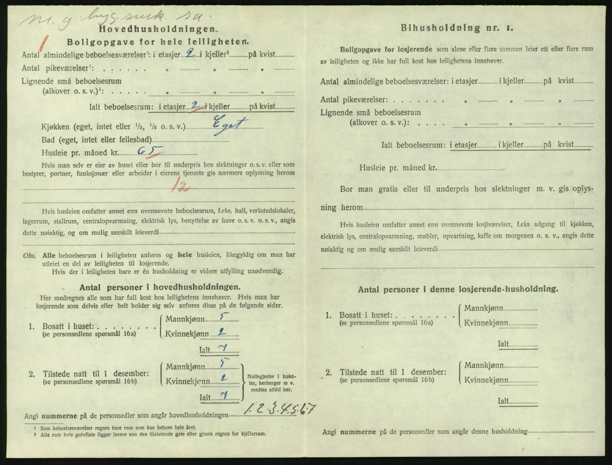 SAKO, 1920 census for Larvik, 1920, p. 3513