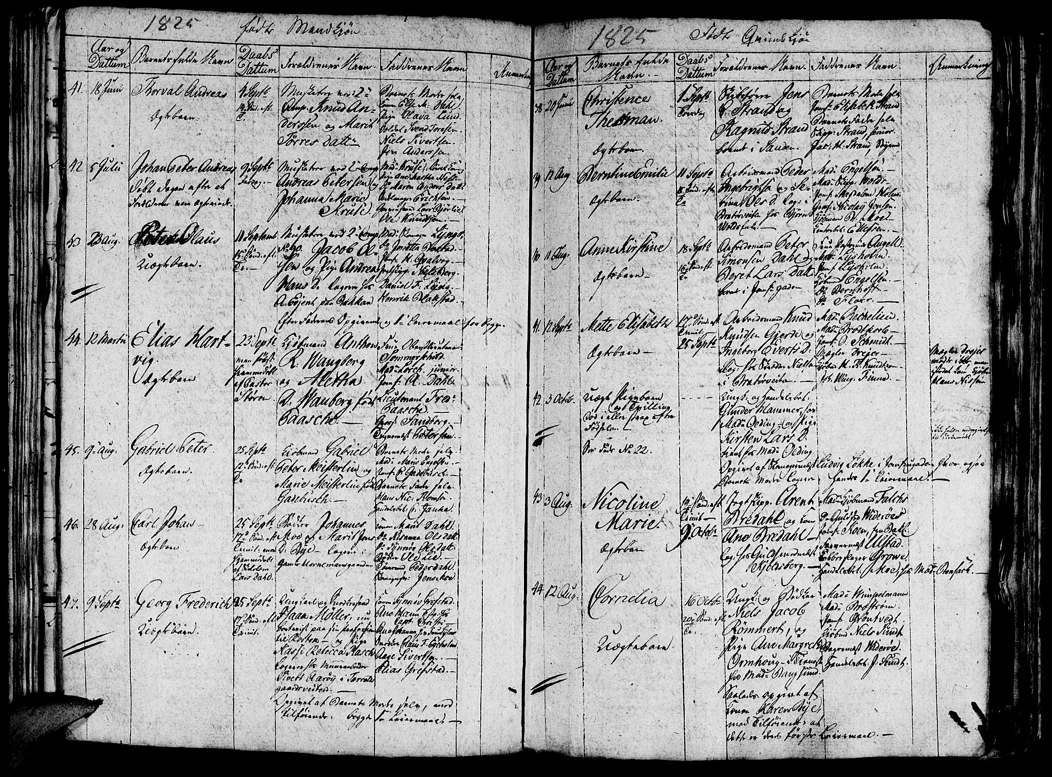 Ministerialprotokoller, klokkerbøker og fødselsregistre - Sør-Trøndelag, AV/SAT-A-1456/602/L0135: Parish register (copy) no. 602C03, 1815-1832