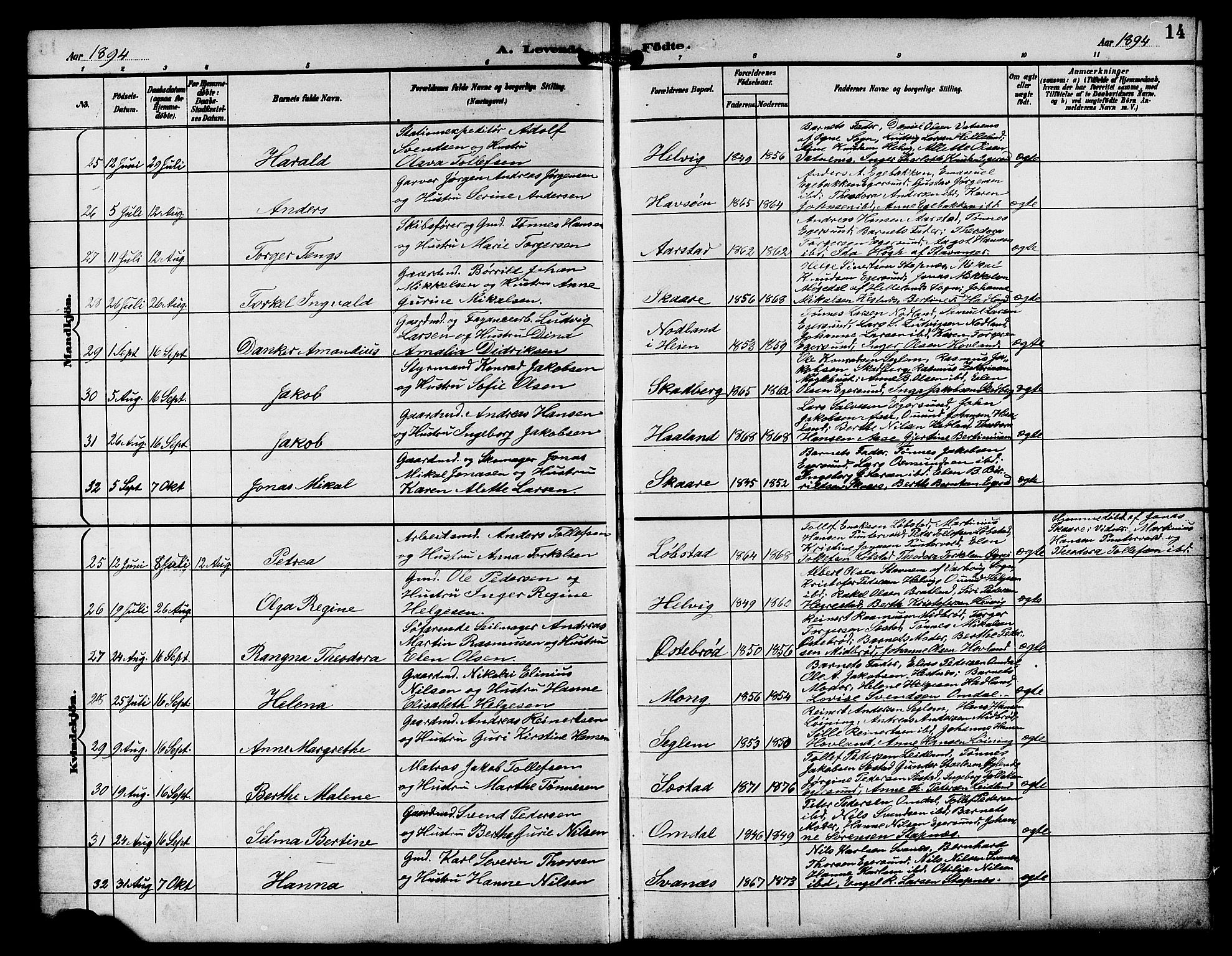 Eigersund sokneprestkontor, AV/SAST-A-101807/001/30/30BB/L0009: Parish register (copy) no. B 9, 1893-1907, p. 14