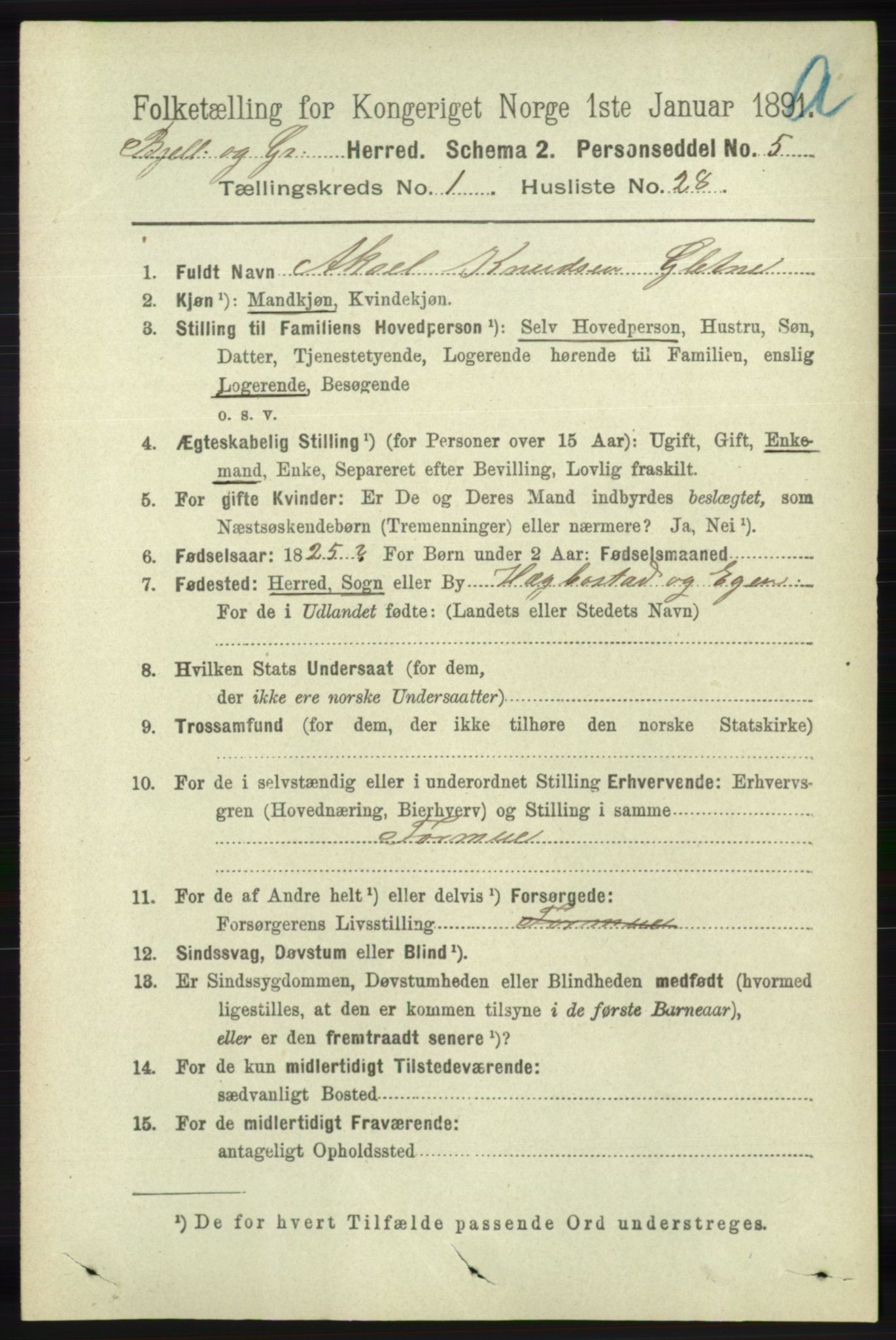 RA, 1891 census for 1024 Bjelland og Grindheim, 1891, p. 206