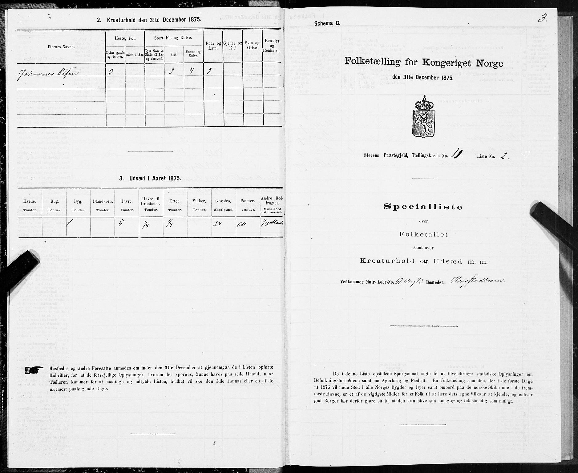 SAT, 1875 census for 1648P Støren, 1875, p. 6003