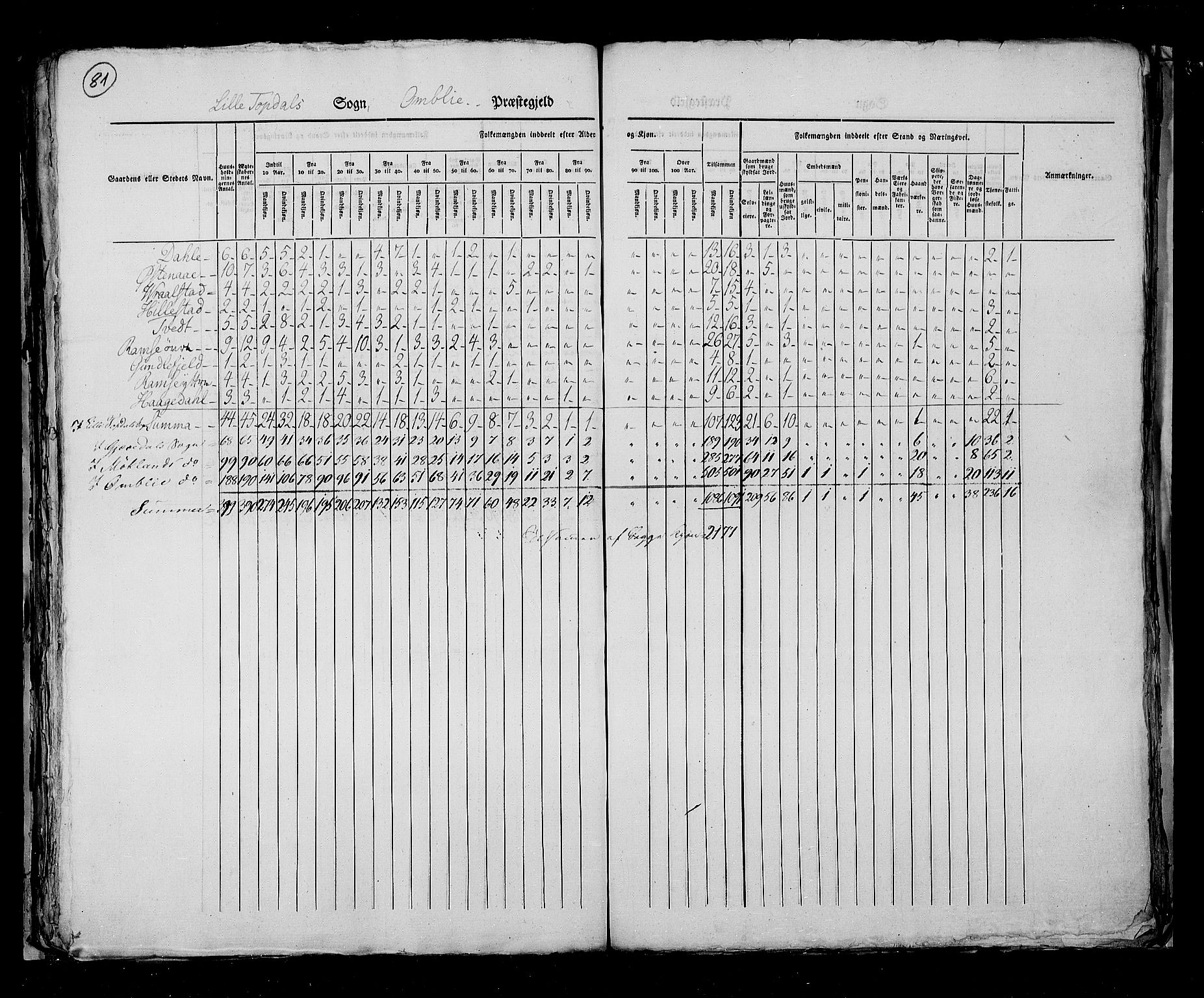 RA, Census 1825, vol. 10: Nedenes og Råbyggelaget amt, 1825, p. 81