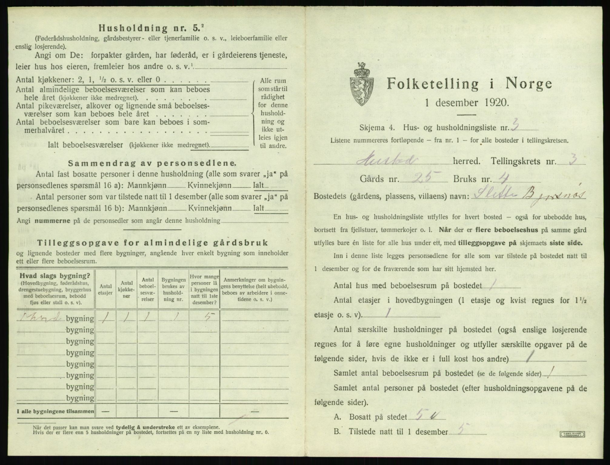 SAT, 1920 census for Hustad, 1920, p. 303