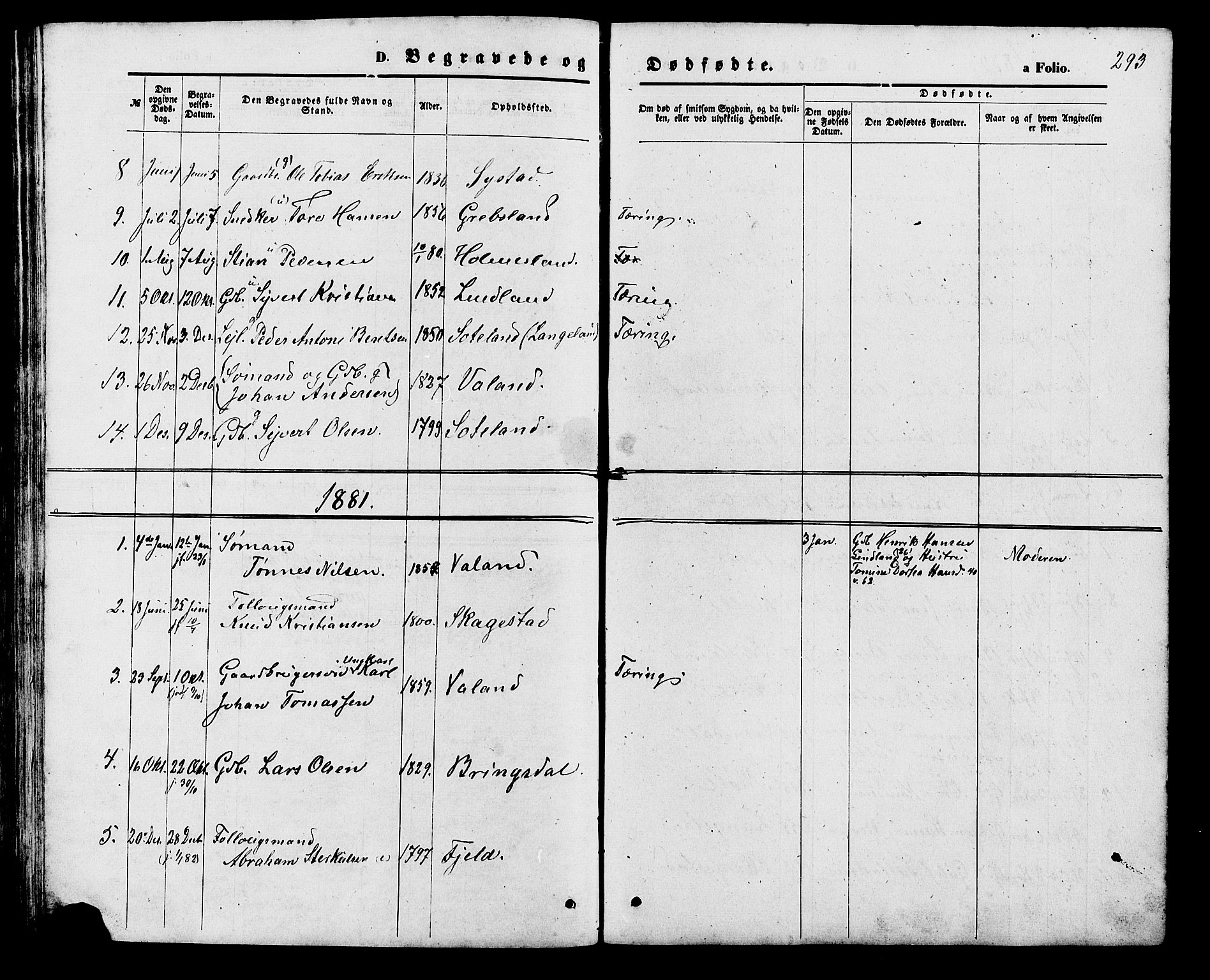 Holum sokneprestkontor, SAK/1111-0022/F/Fb/Fba/L0004: Parish register (copy) no. B 4, 1867-1890, p. 293