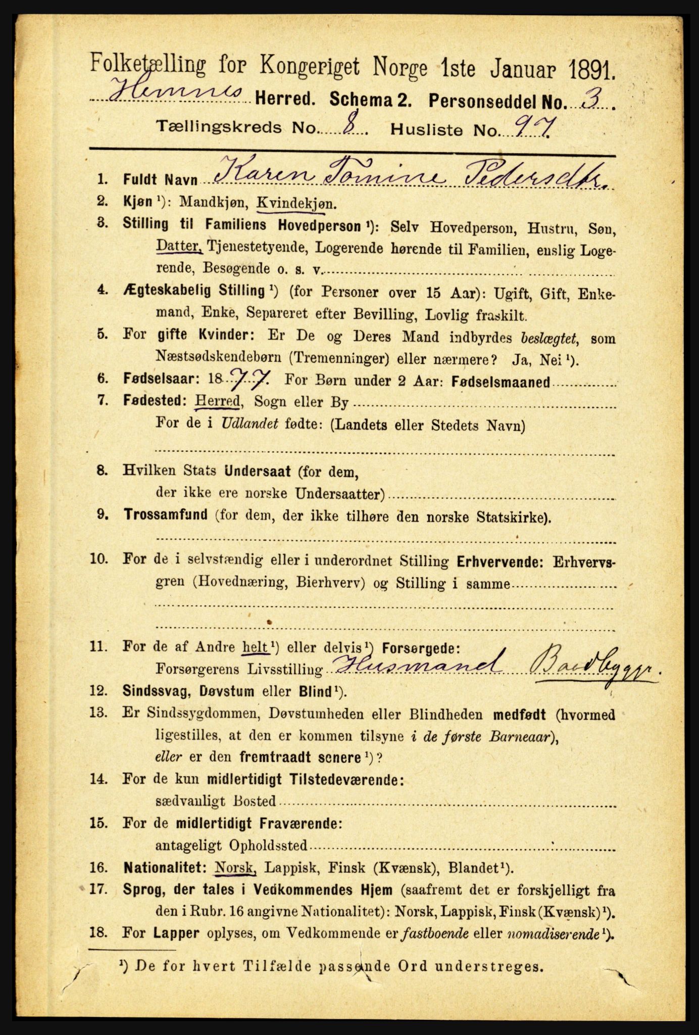 RA, 1891 census for 1832 Hemnes, 1891, p. 4244