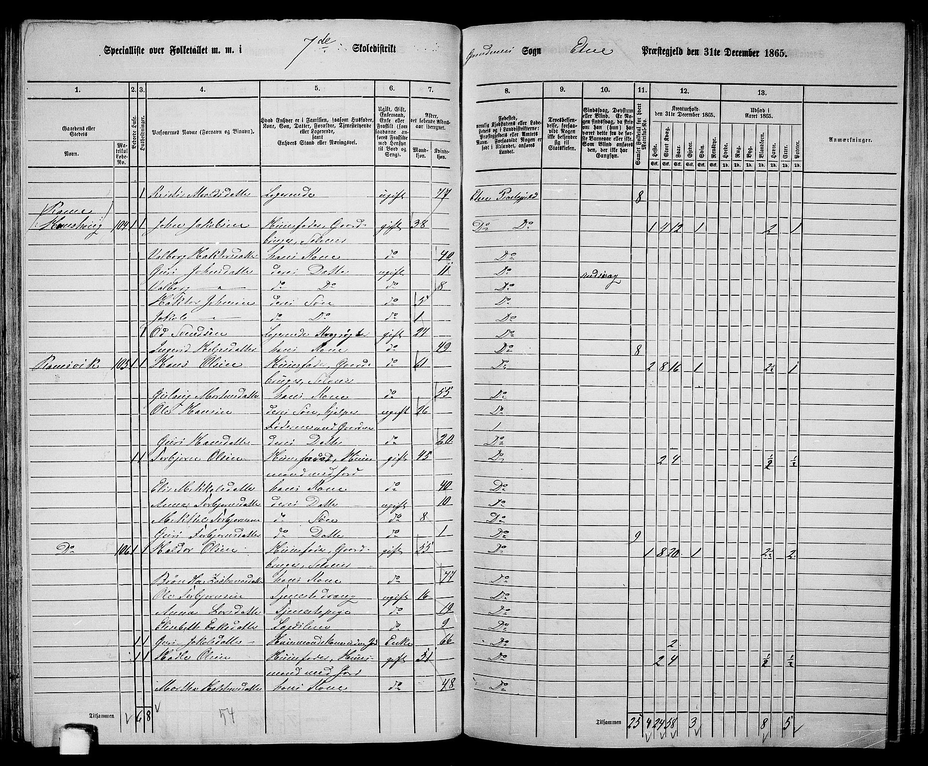 RA, 1865 census for Etne, 1865, p. 87