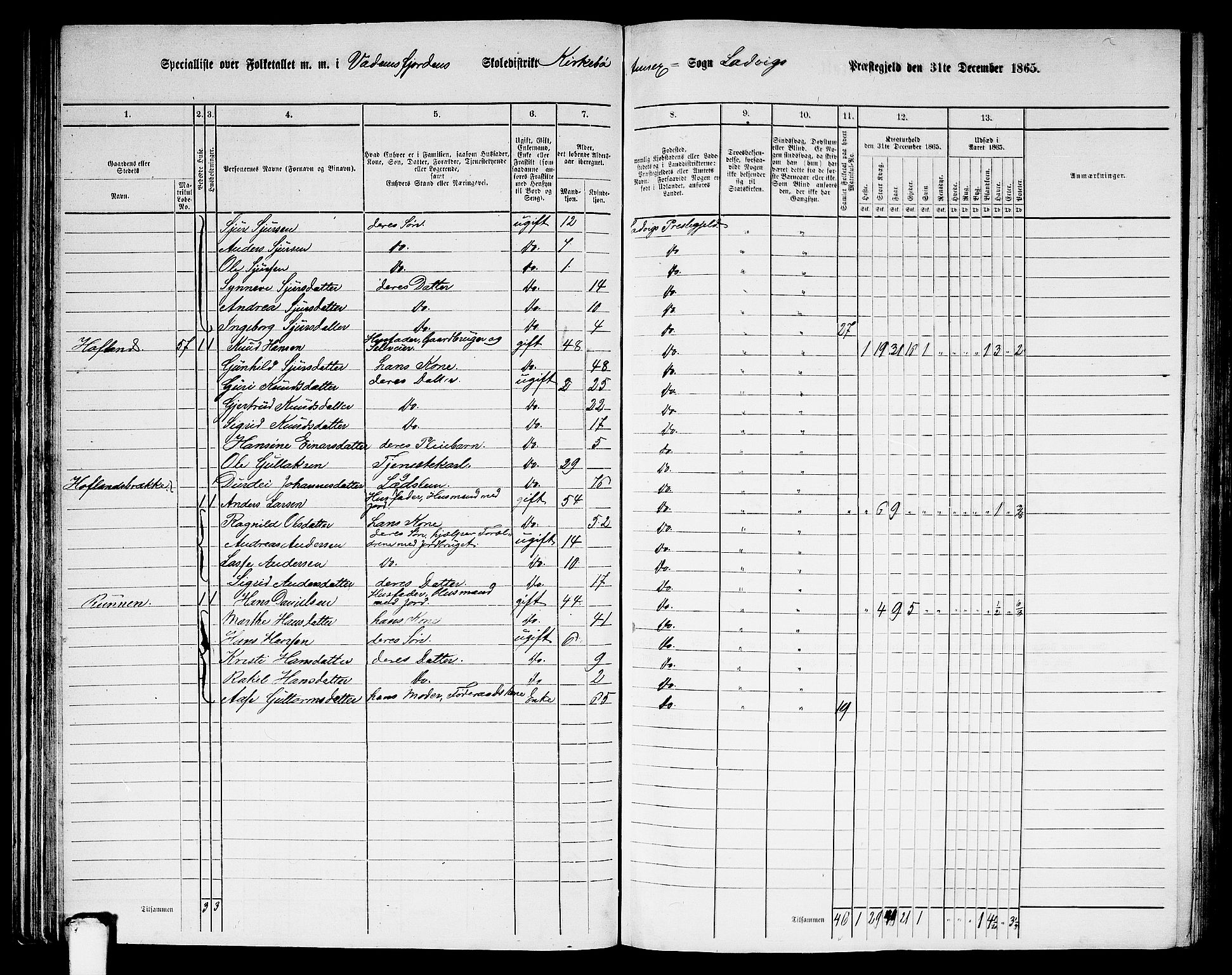 RA, 1865 census for Lavik, 1865, p. 54