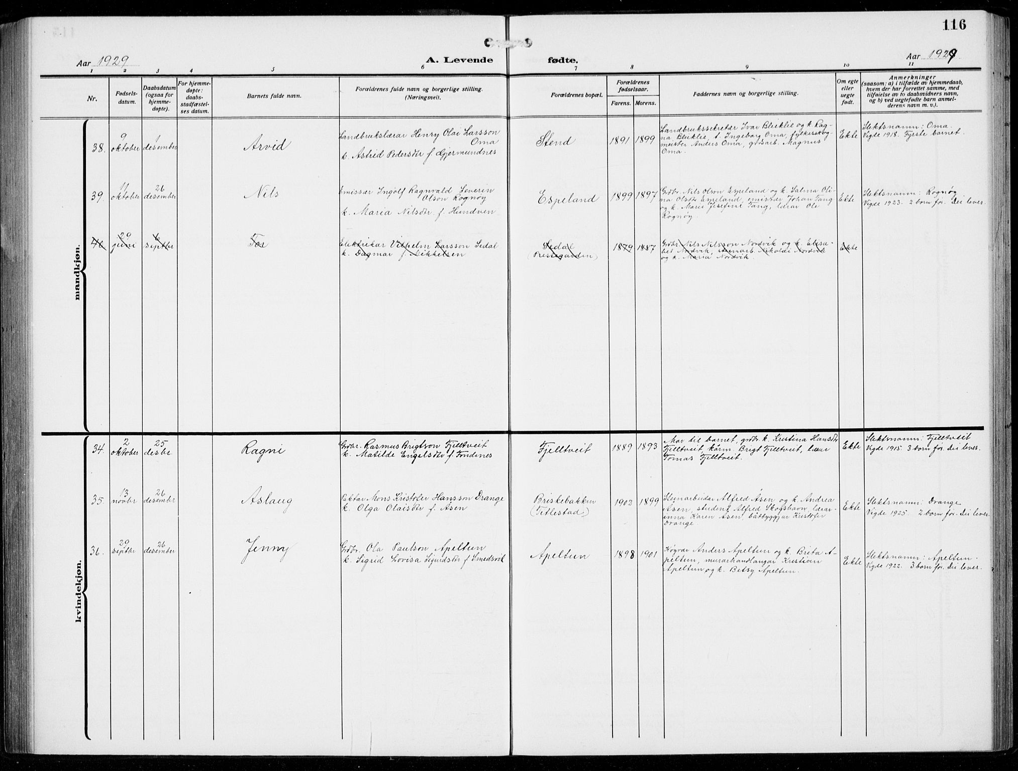 Fana Sokneprestembete, AV/SAB-A-75101/H/Hab/Haba/L0005: Parish register (copy) no. A 5, 1911-1932, p. 116