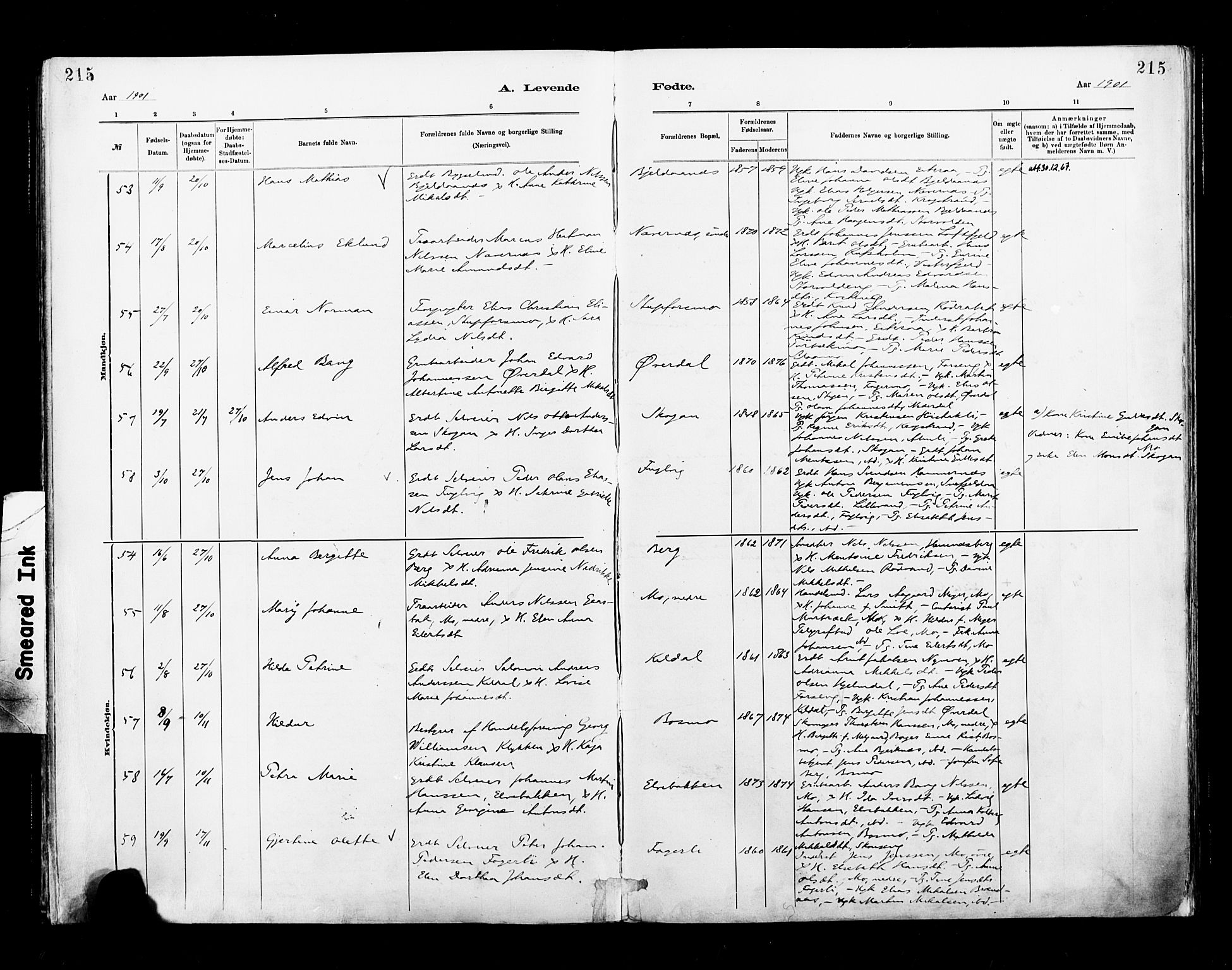 Ministerialprotokoller, klokkerbøker og fødselsregistre - Nordland, SAT/A-1459/827/L0400: Parish register (official) no. 827A12, 1883-1903, p. 215