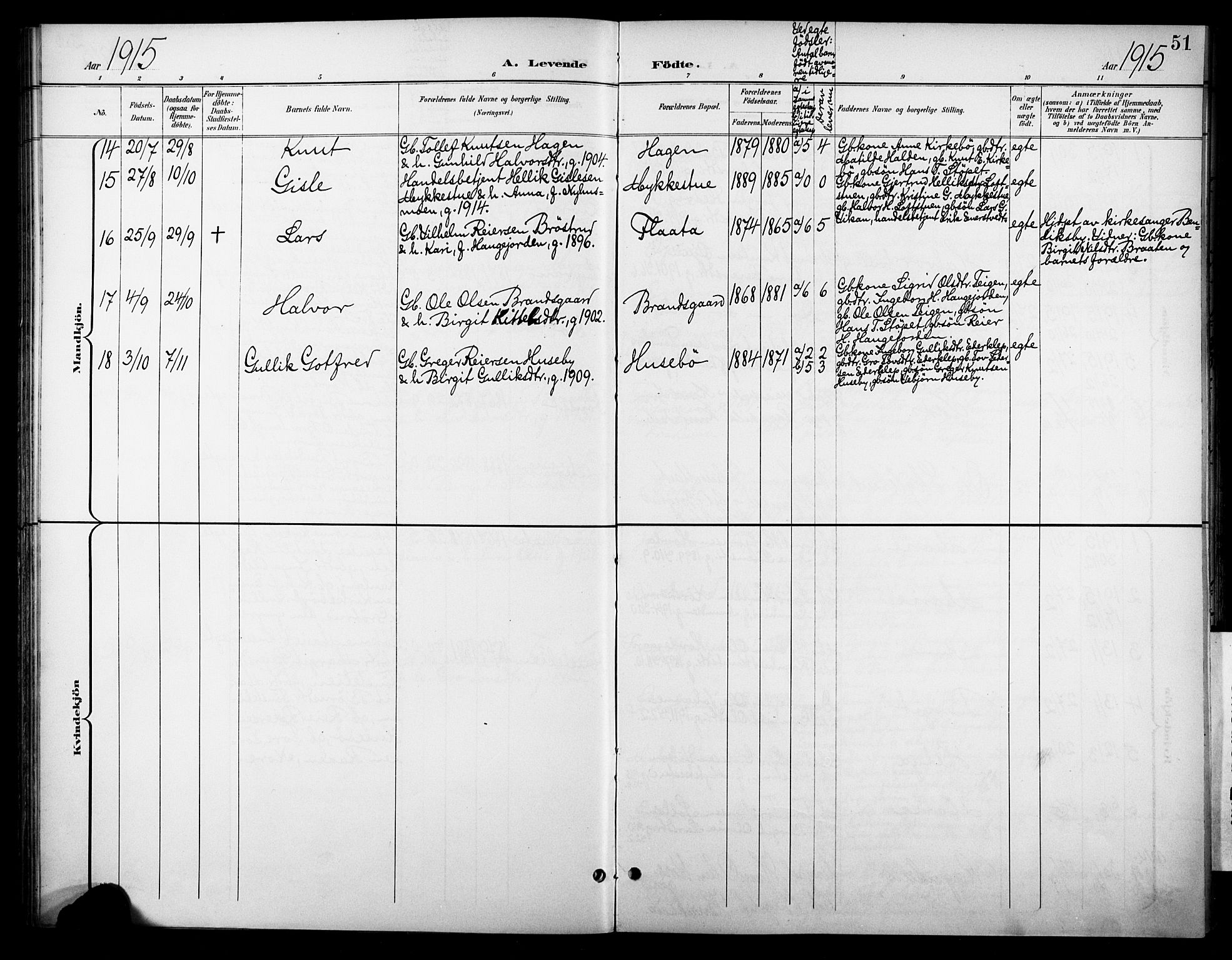 Nore kirkebøker, AV/SAKO-A-238/F/Fc/L0005: Parish register (official) no. III 5, 1898-1922, p. 51