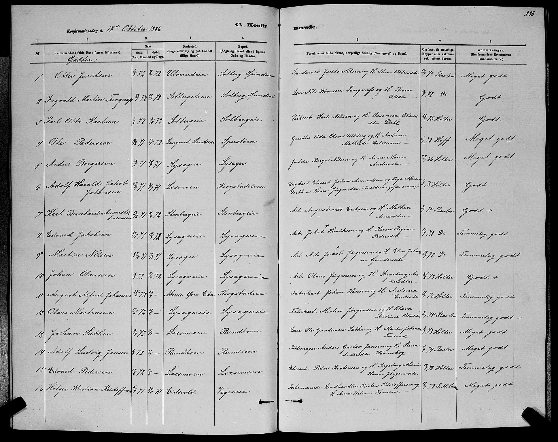 Nedre Eiker kirkebøker, AV/SAKO-A-612/G/Ga/L0002: Parish register (copy) no. 2, 1880-1896, p. 238