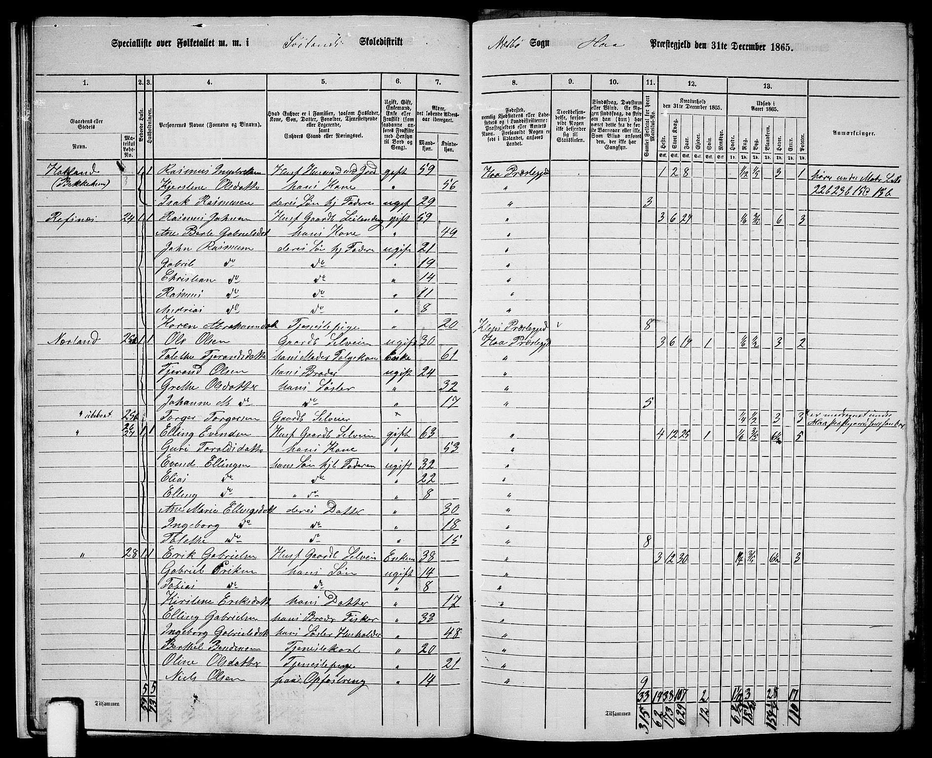 RA, 1865 census for Hå, 1865, p. 20