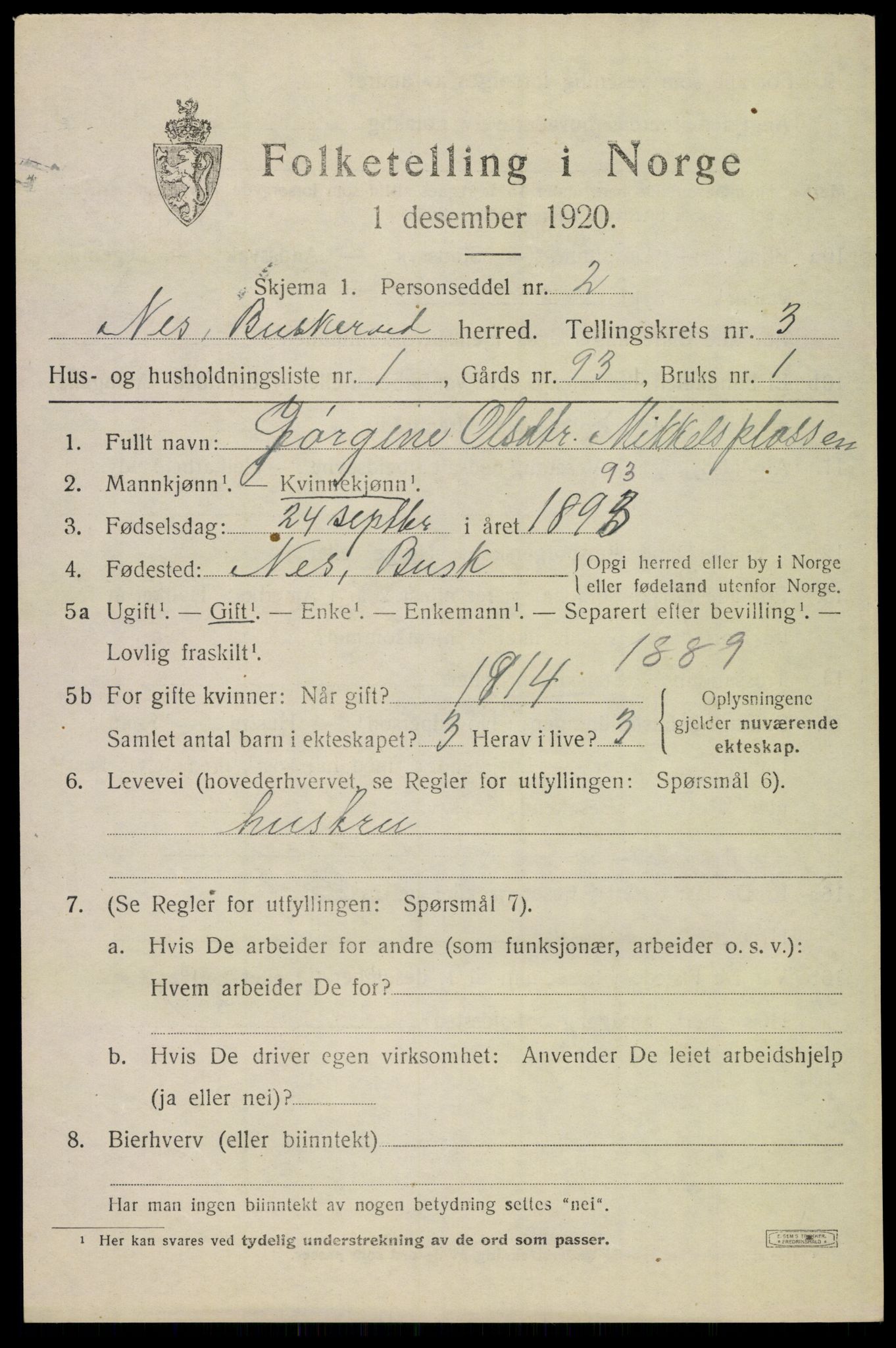 SAKO, 1920 census for Nes (Buskerud), 1920, p. 1628