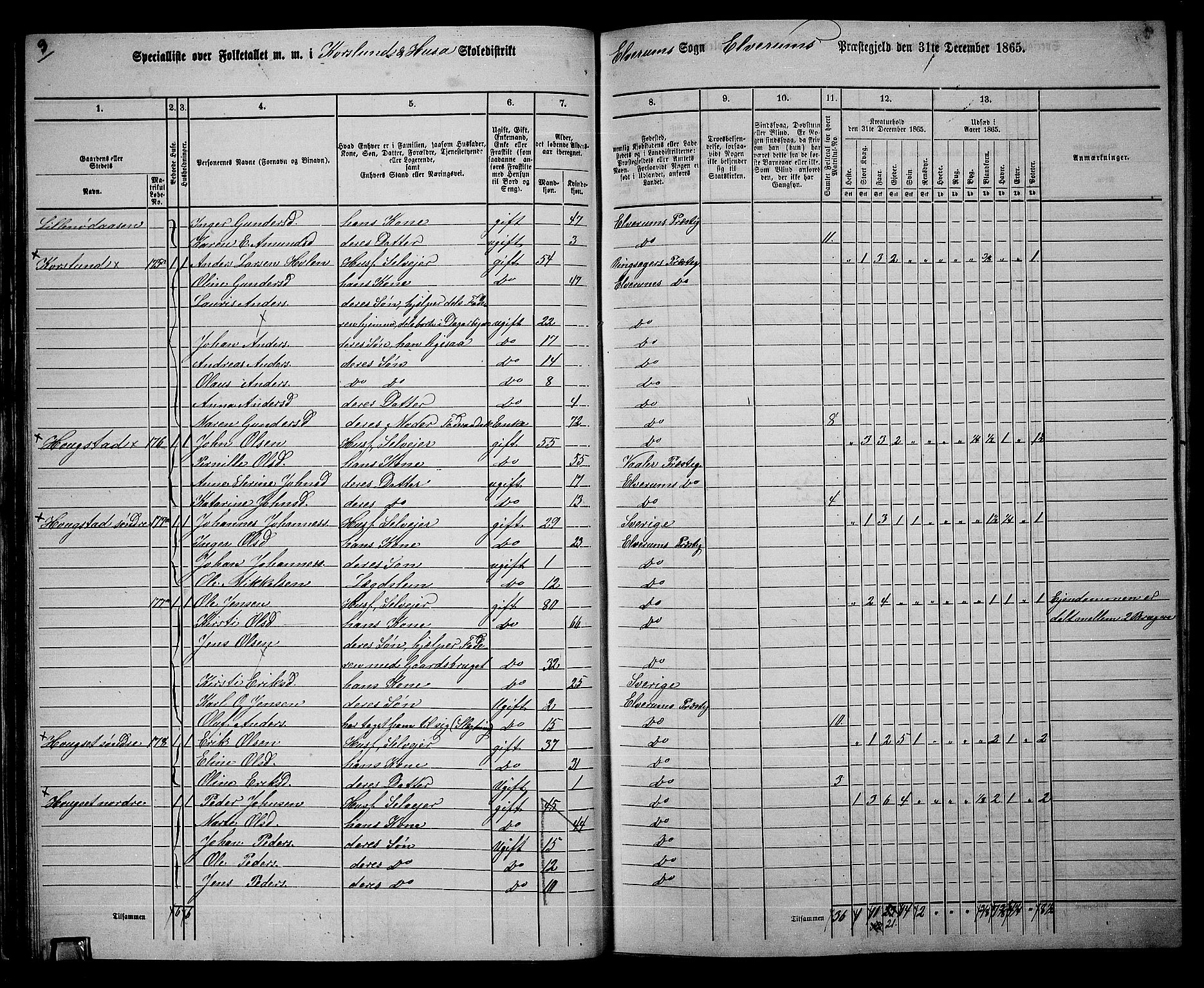 RA, 1865 census for Elverum, 1865, p. 40