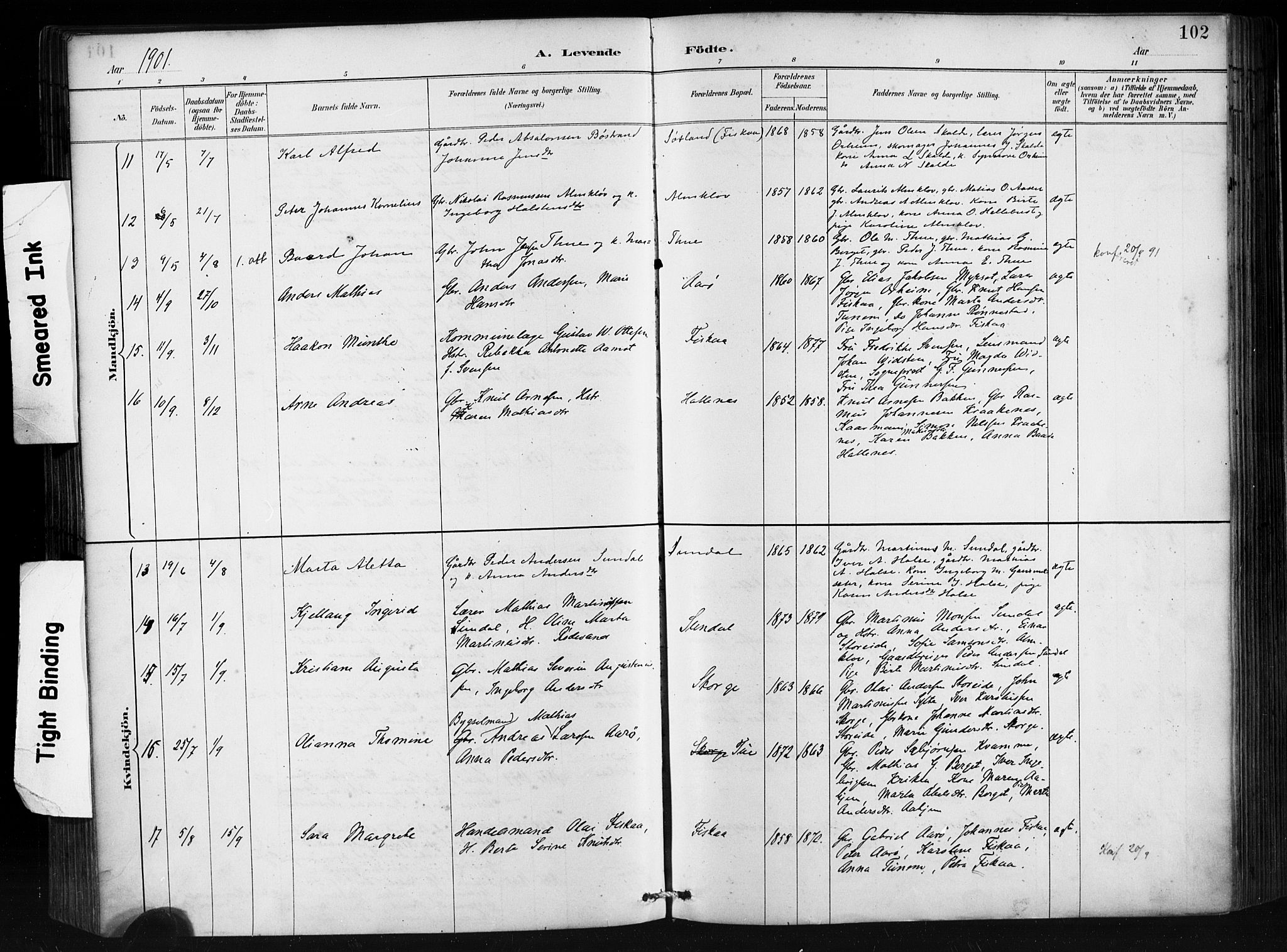 Ministerialprotokoller, klokkerbøker og fødselsregistre - Møre og Romsdal, AV/SAT-A-1454/501/L0008: Parish register (official) no. 501A08, 1885-1901, p. 102